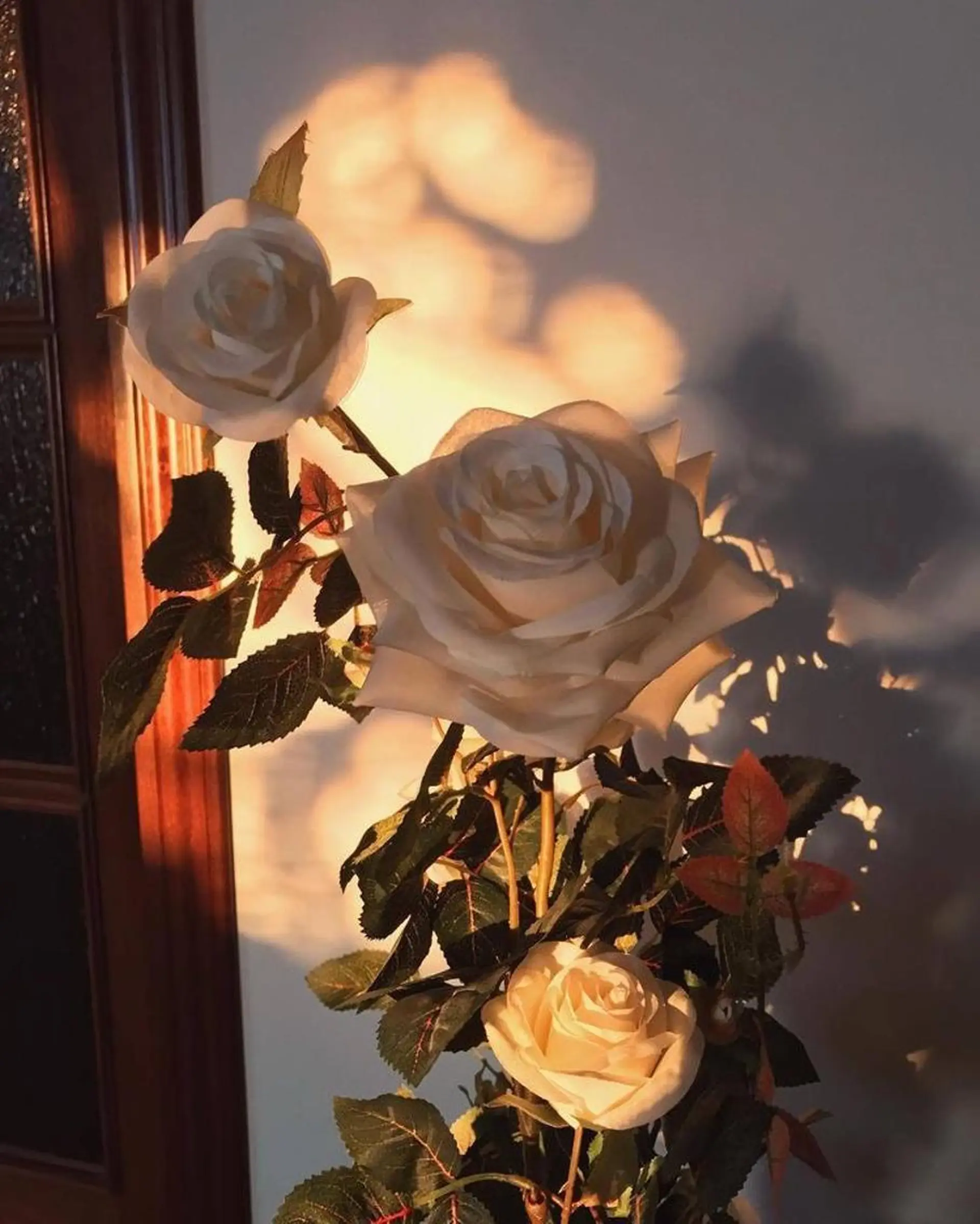 Iwasaki Nene☾店長のマツエク・マツパデザイン