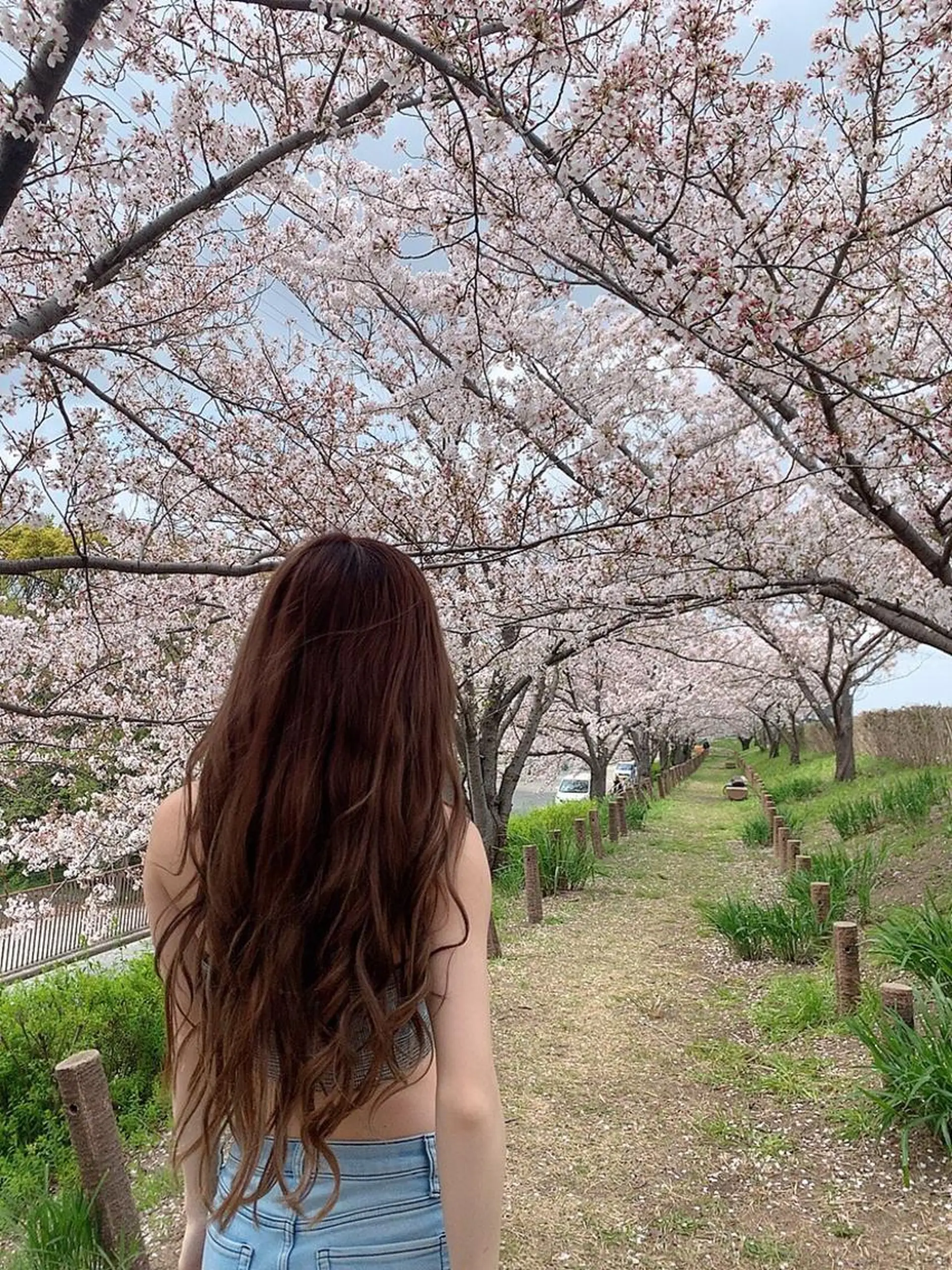 ロング エクステ ドレスアップ心斎橋店所属・🌸ドレスアップ 心斎橋店🌸のヘアスタイル