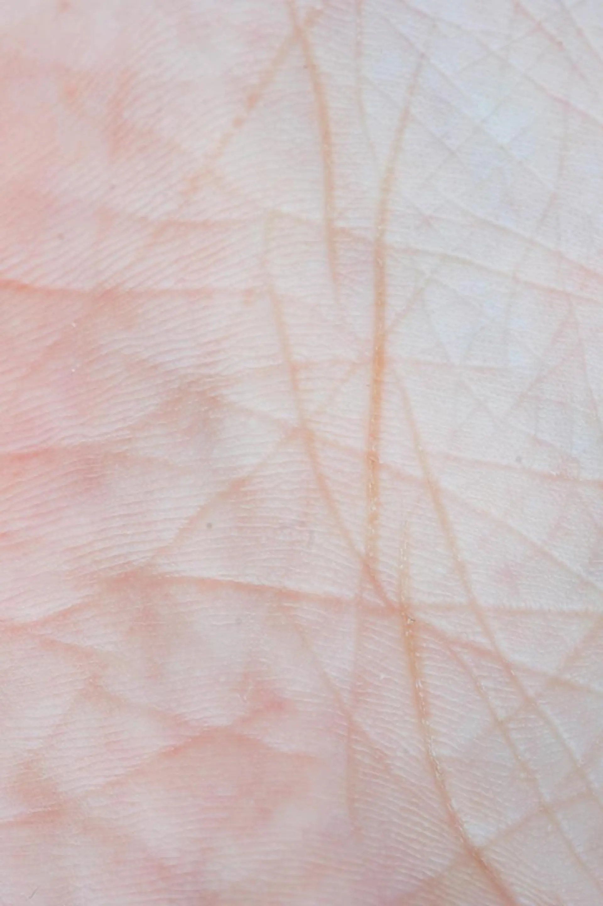 パーソナルカラー診断 骨格診断 顔タイプ診断 パーソナルカラー診断 ボニットBoknitのその他イメージ