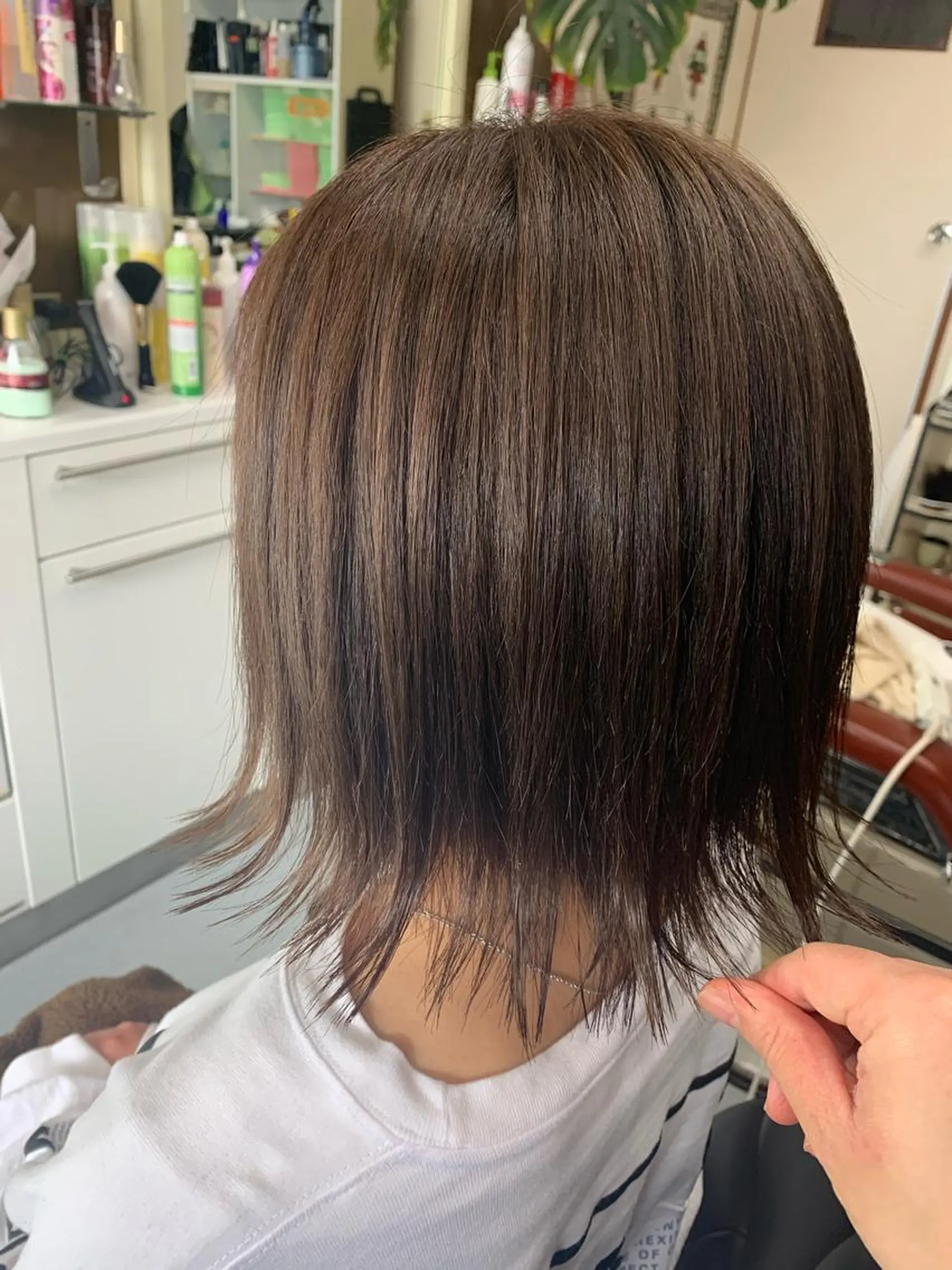 ミディアム カラー ブラウンカラー ナチュラルブラウン カット ヘアカラー トリートメント ストウ ナナエのヘアスタイル