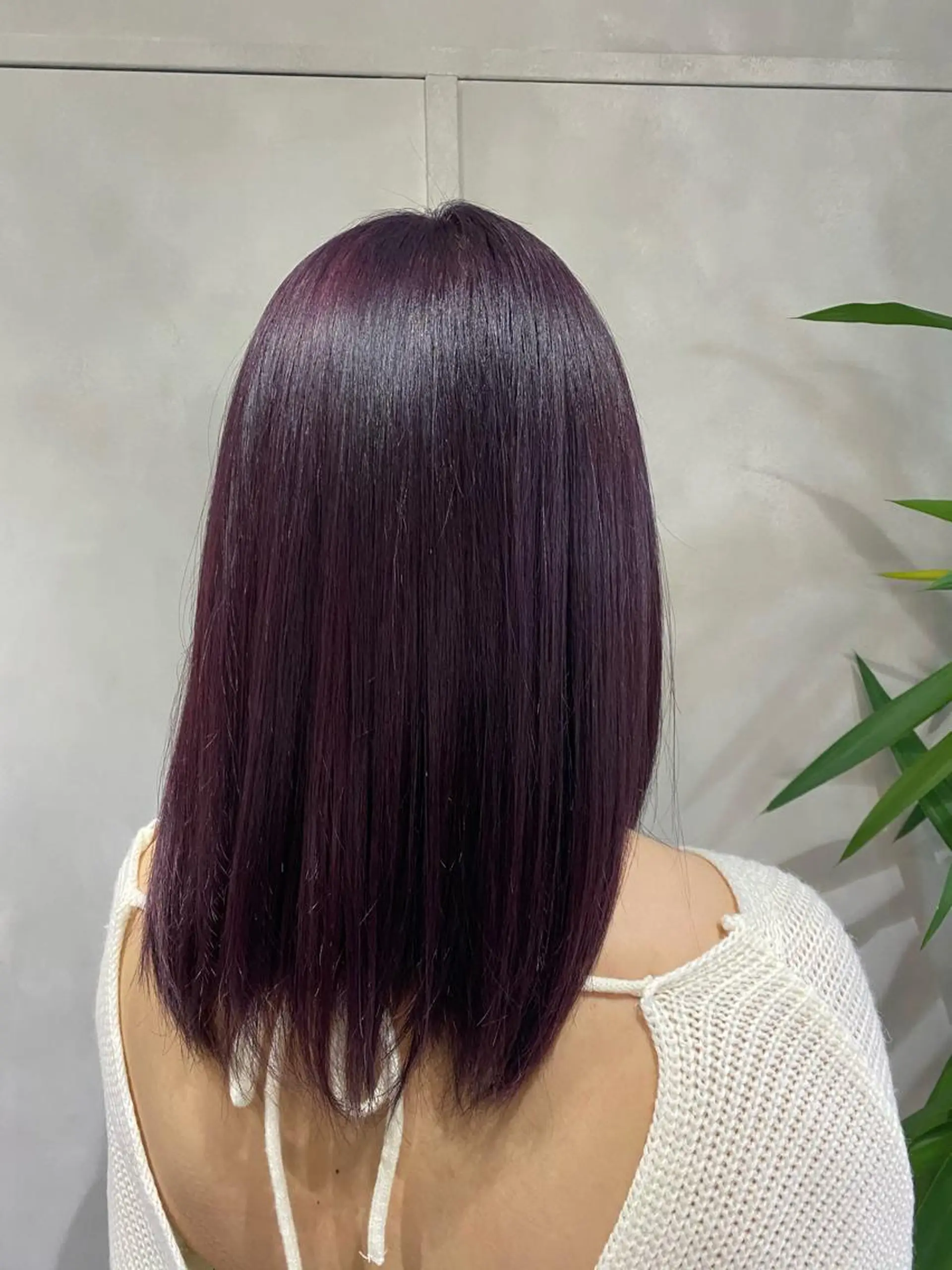 セミロング カラー M IIのヘアスタイル