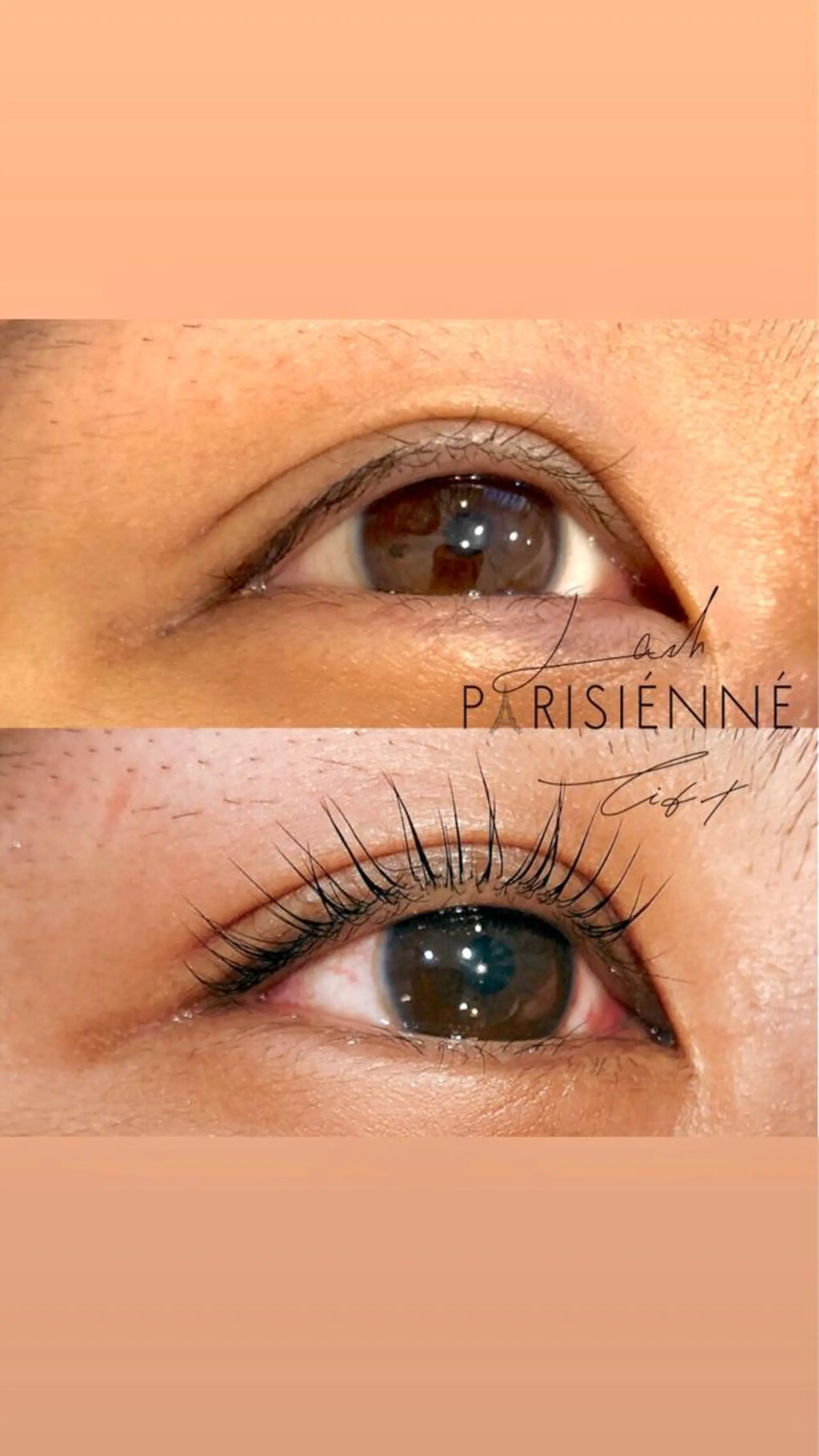 マツエク・マツパ petitchou eyelashのマツエク・マツパデザイン