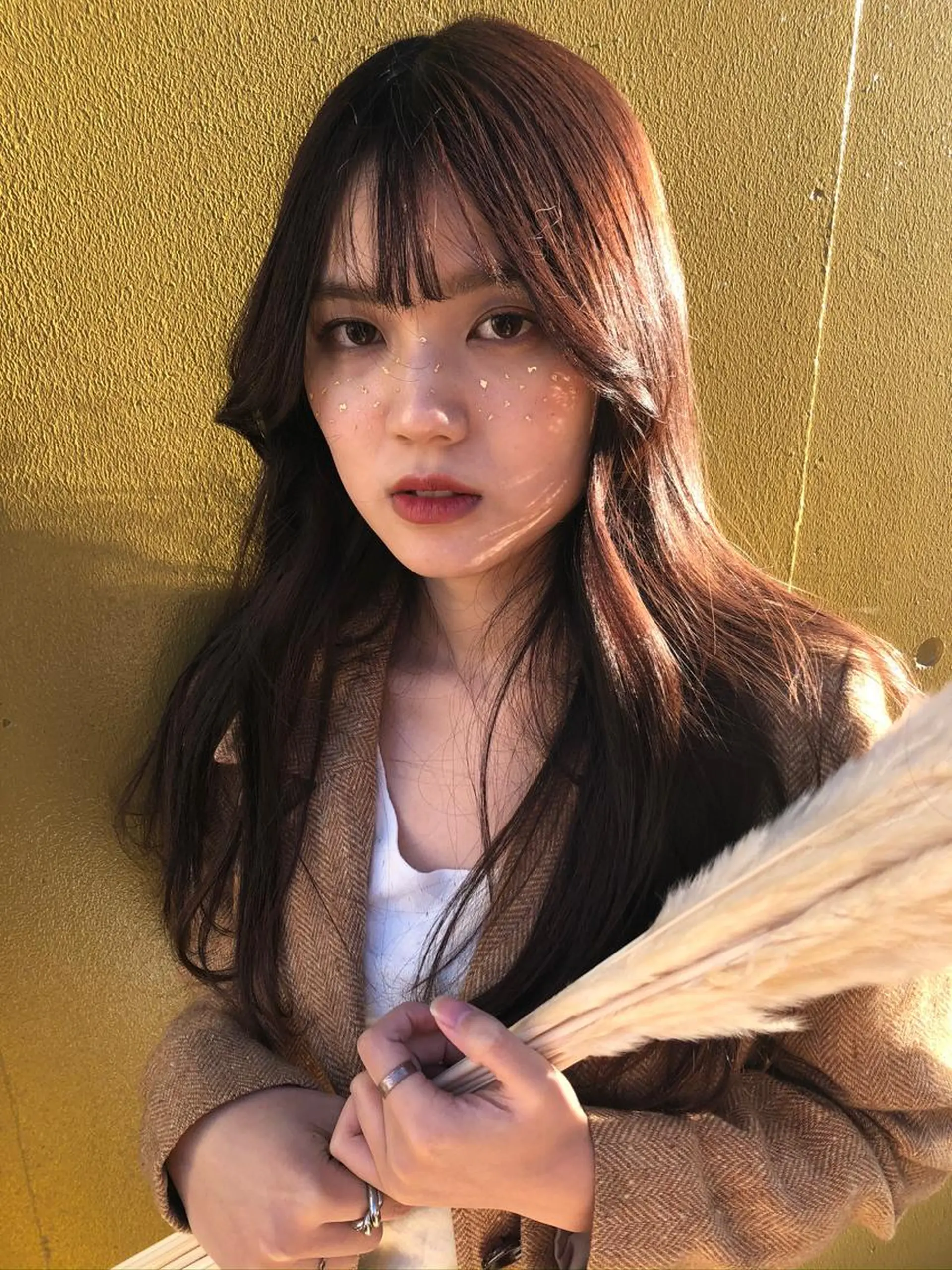 ロング カラー ヘアアレンジ 🌙レイヤー,韓国 ヘア🌙harukaのヘアスタイル