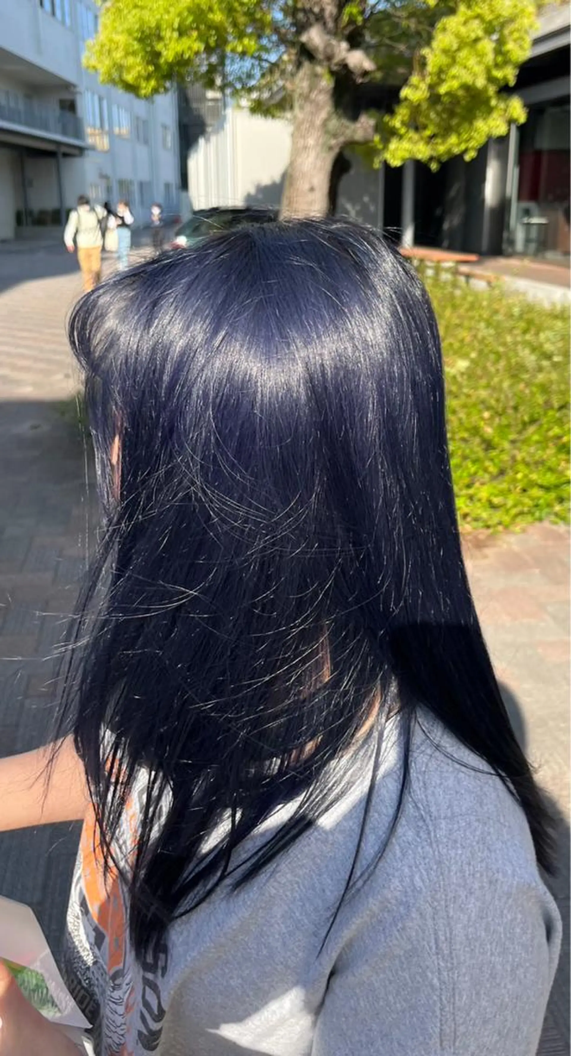 セミロング カラー ダブルカラー ネイビーカラー 石山  健太 /縮毛矯正/髪質改善のヘアスタイル