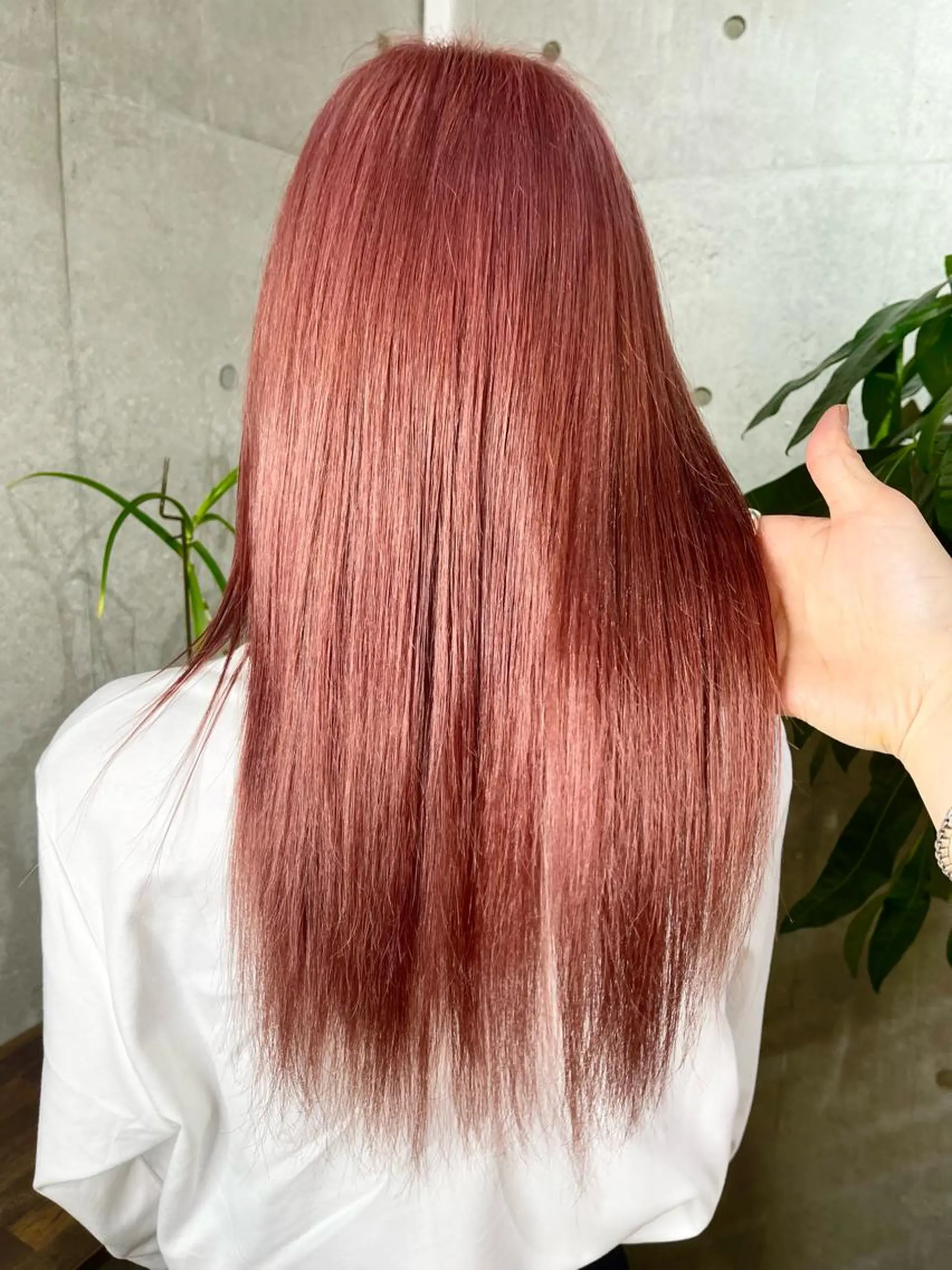 カラー ピンクカラー 髪質改善 カット ヘアカラー トリートメント 名古屋のピンク好き かずくん🦩のヘアスタイル