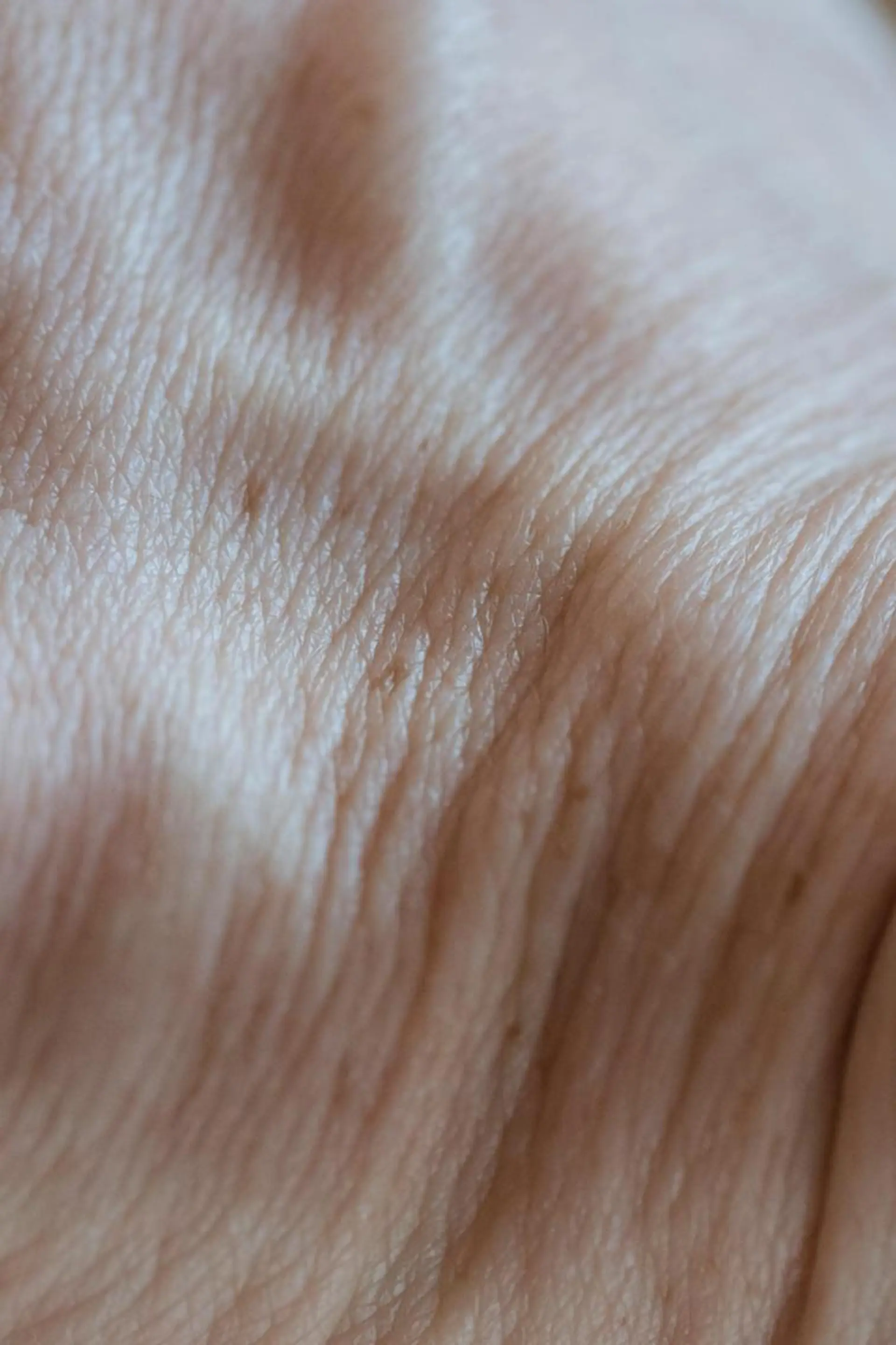 パーソナルカラー診断 骨格診断 顔タイプ診断 パーソナルカラー診断 ボニットBoknitのその他イメージ