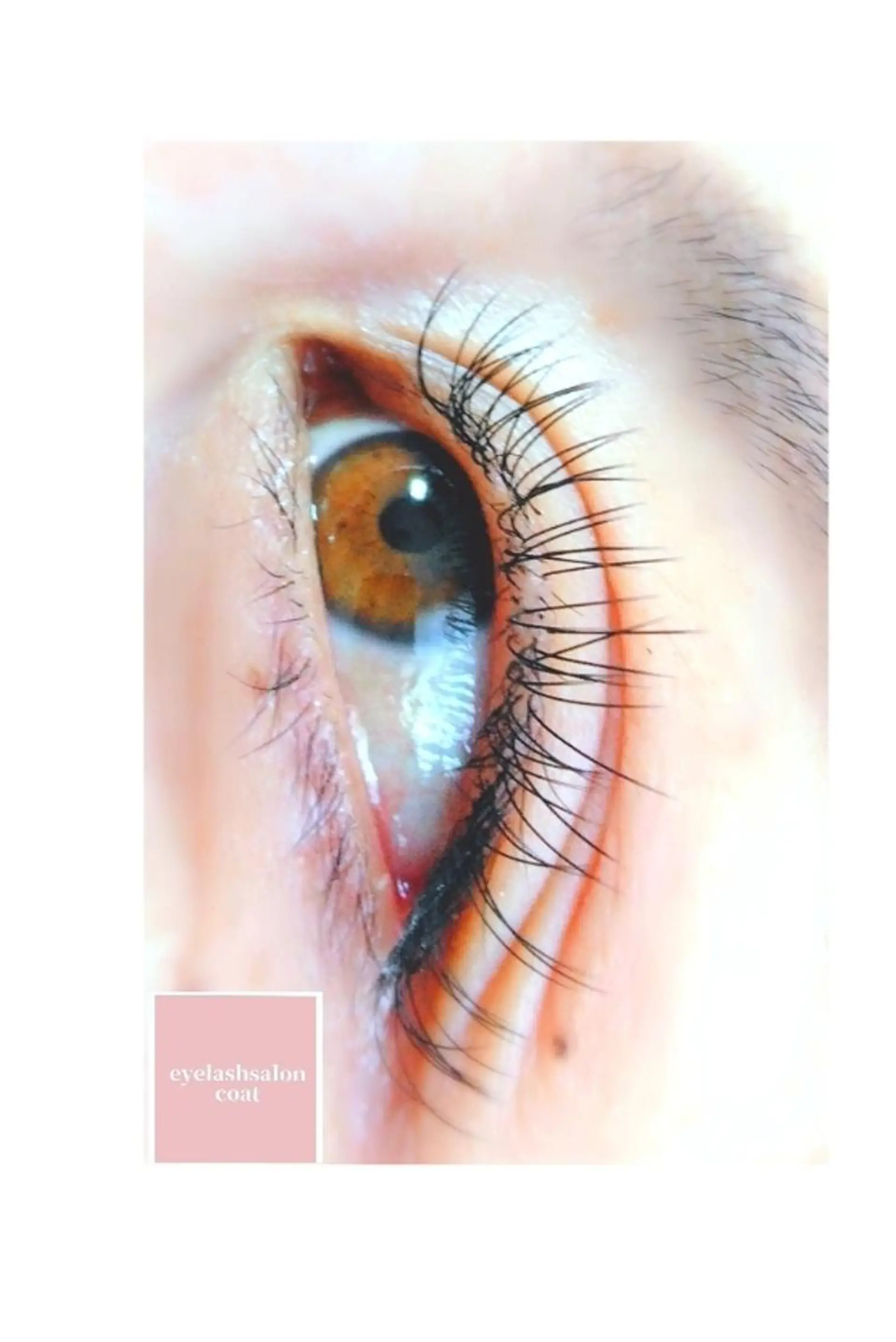 マツエク・マツパ Cカール フラットラッシュ マツエク eyelash salon coat所属・eyelash saloncoatのマツエク・マツパデザイン