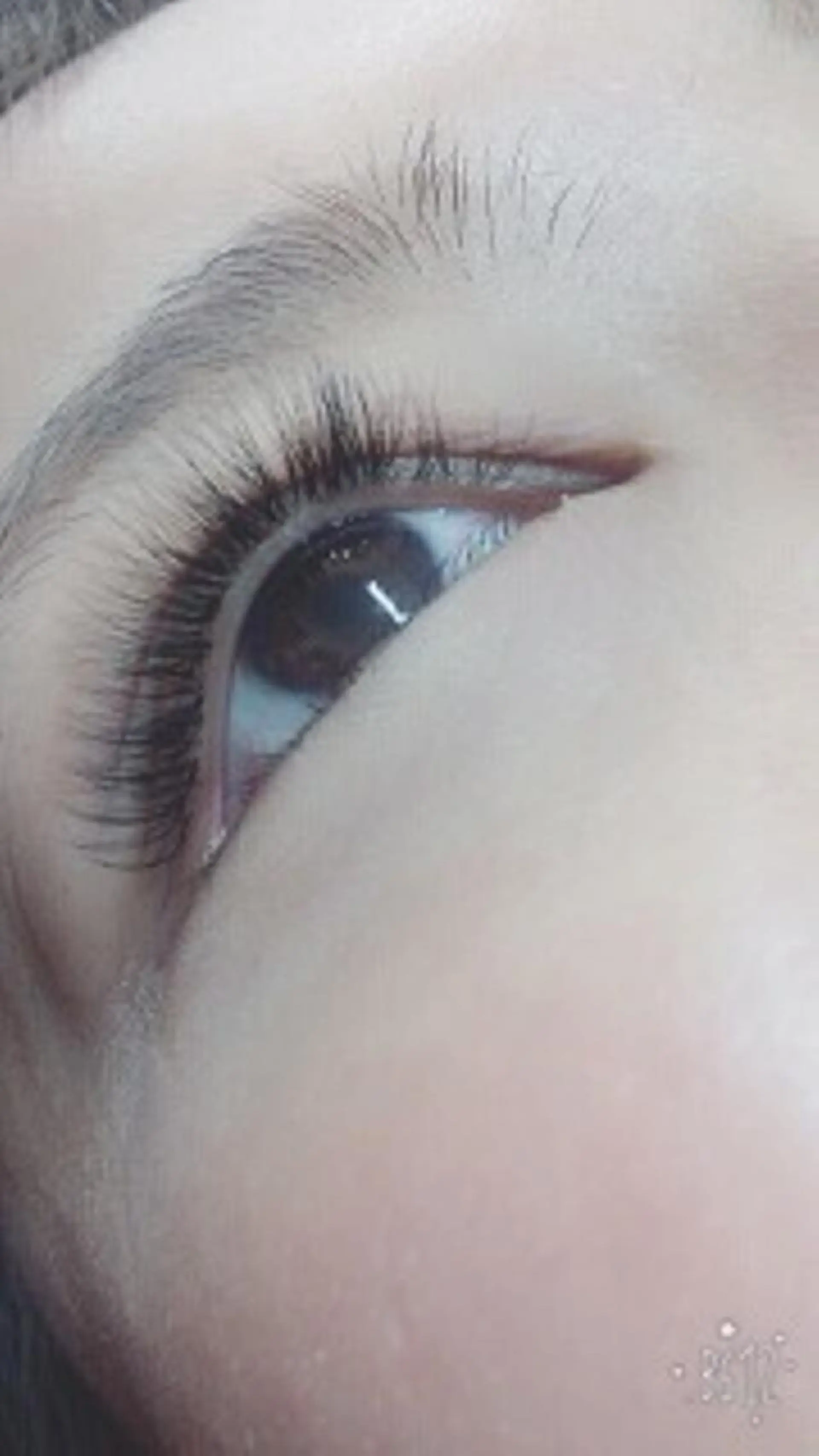 マツエク・マツパ tozone eye AYANOのマツエク・マツパデザイン