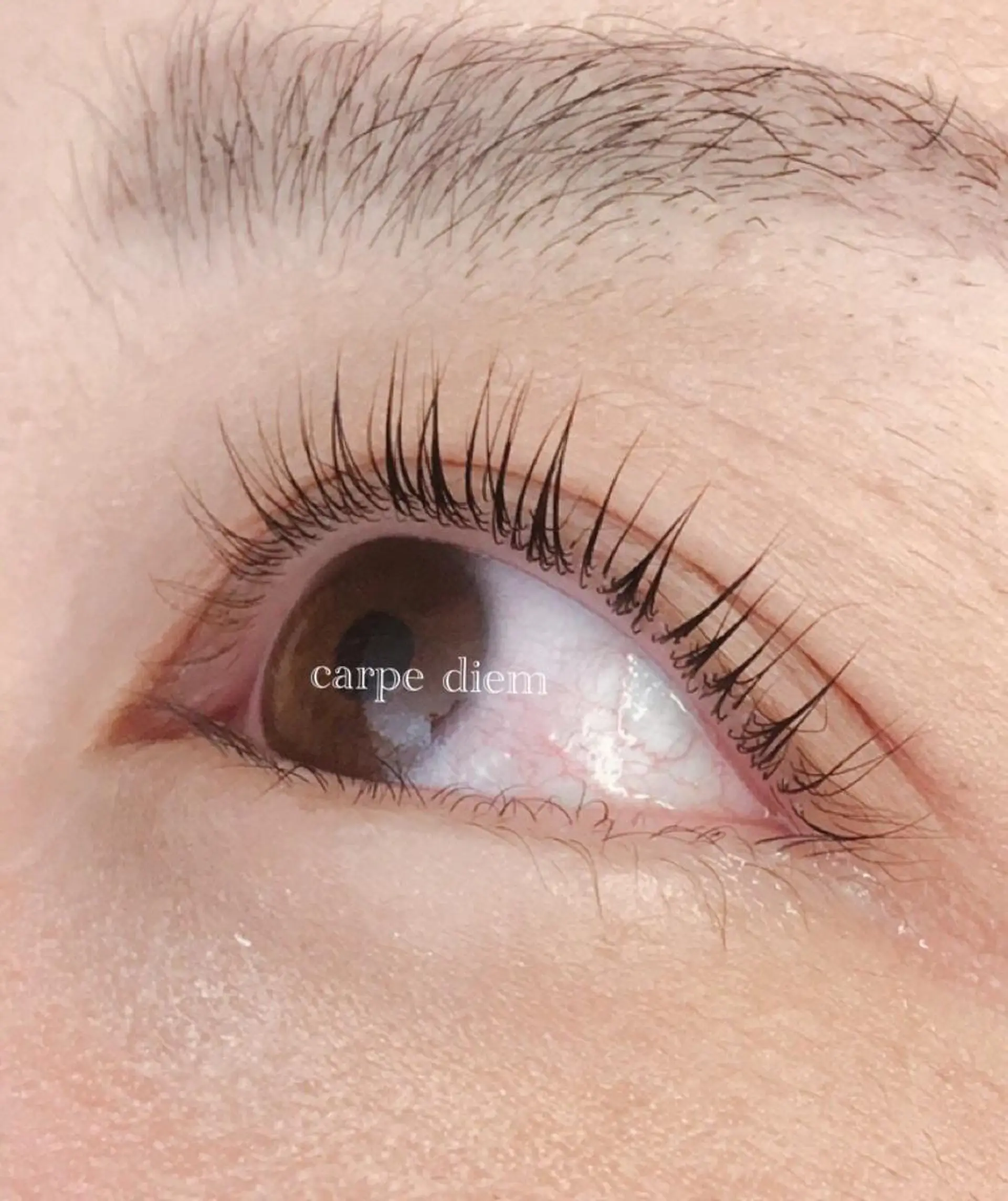 マツエク・マツパ カルペ・ディエム Ｆのマツエク・マツパデザイン