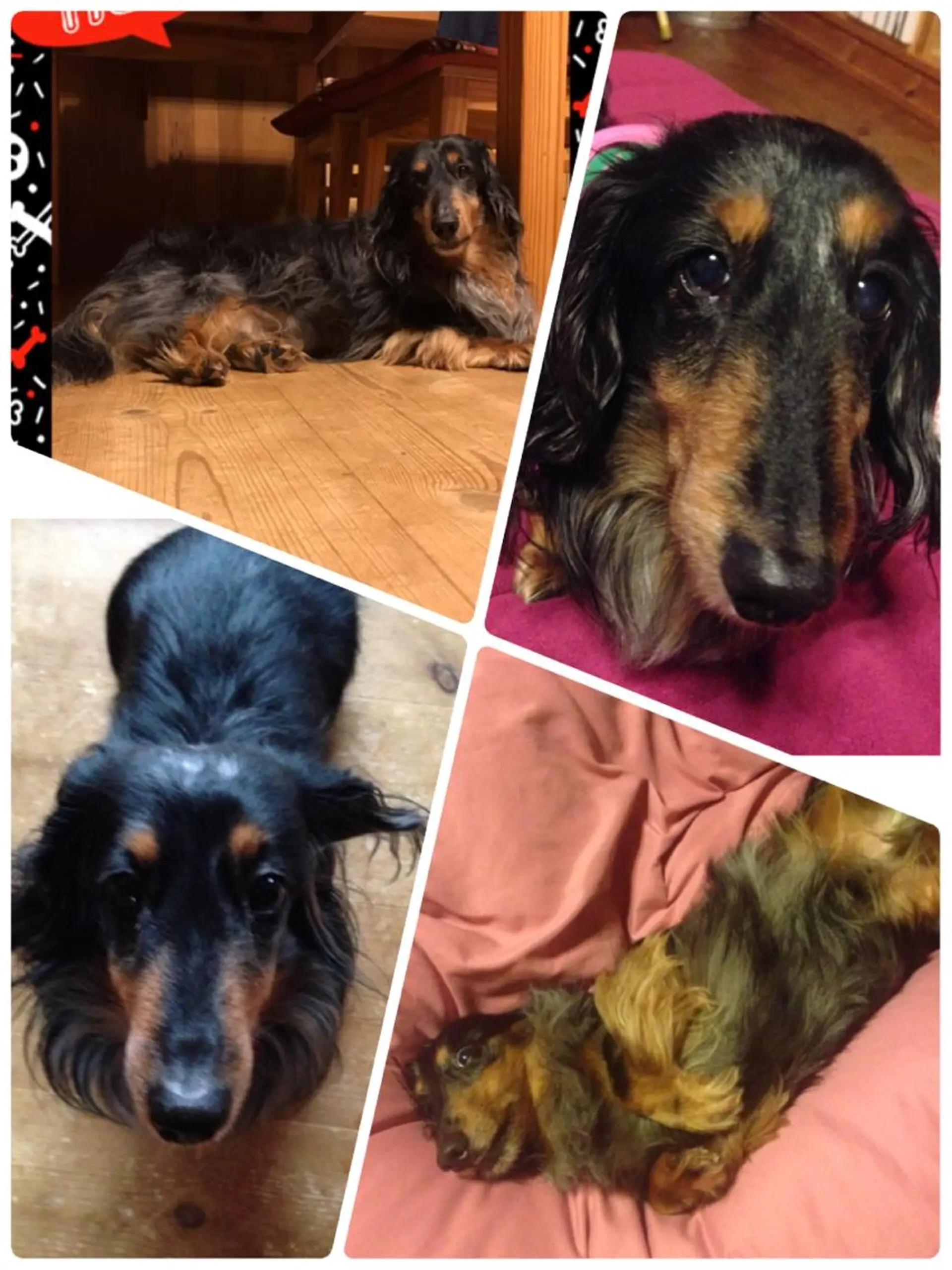 岩井 秋子のエステ・リラクイメージ