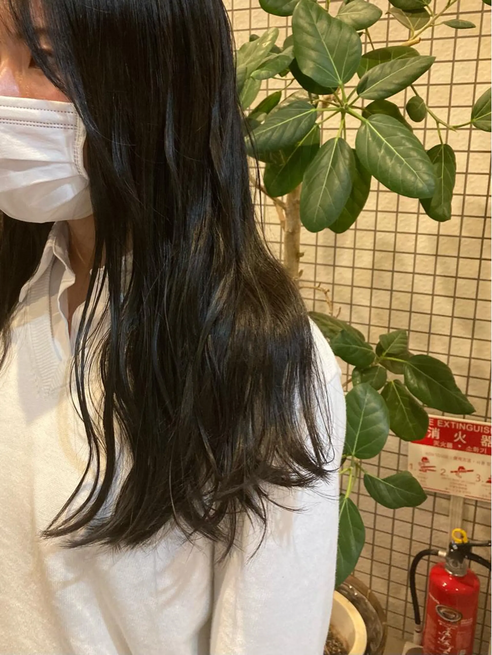 ロング ヘアカラー オリーブカラー🫧 nanohaのヘアスタイル