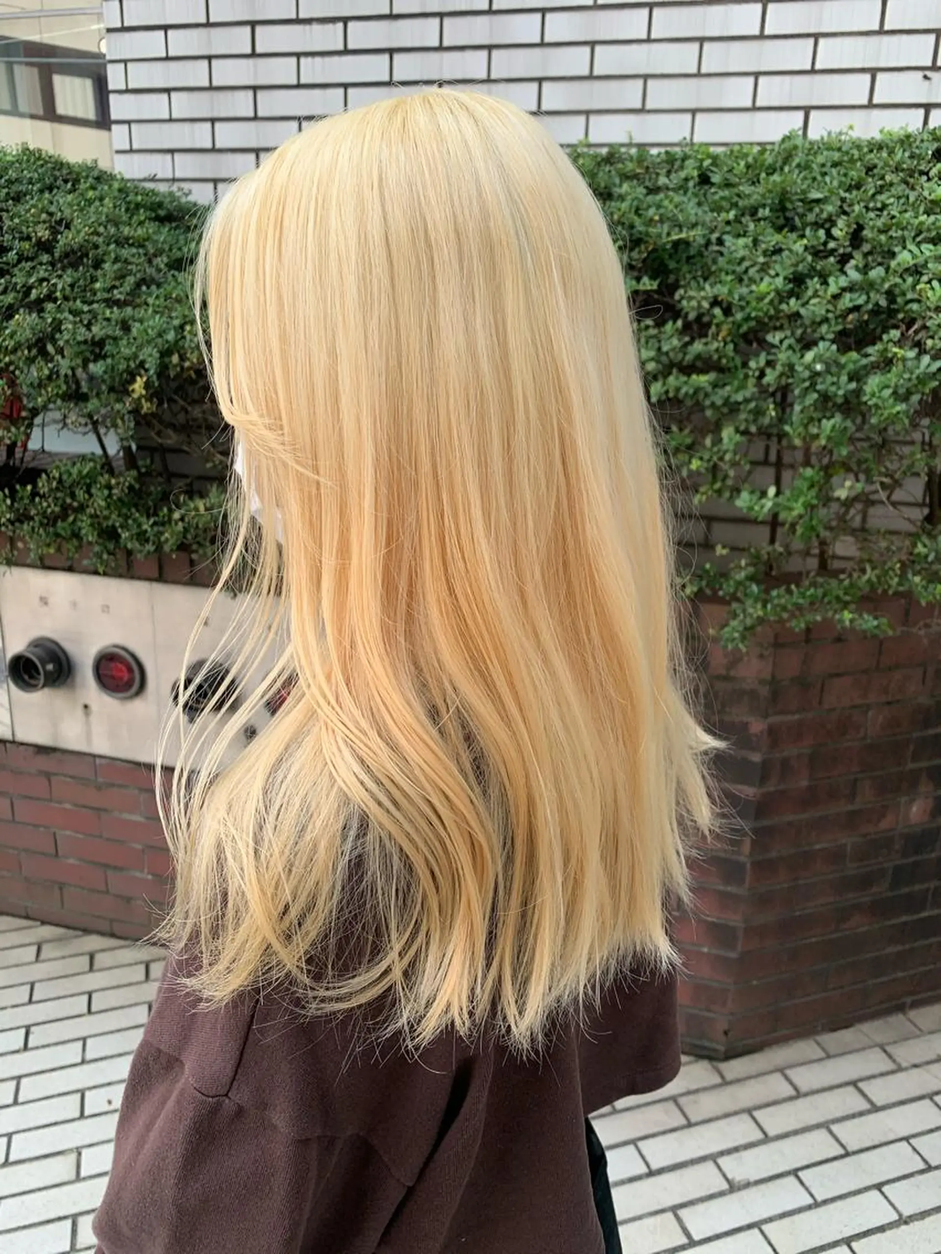 ロング カラー ブリーチ 抜きっぱなしブロンド 遠藤沙也加 /レイヤーカットのヘアスタイル