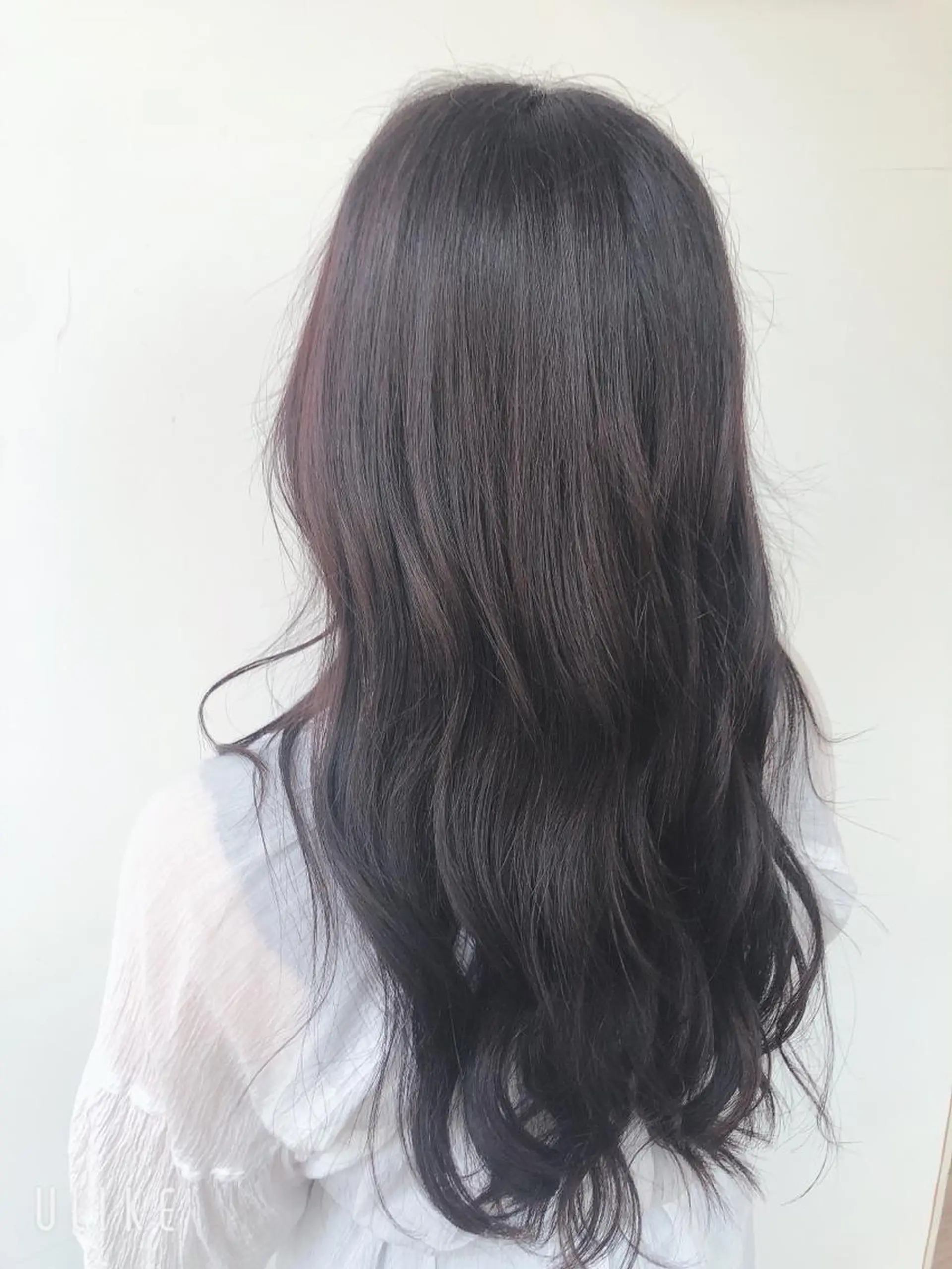 ロング カラー ラベンダーカラー dogstar小林諒 レイヤー/パーマのヘアスタイル