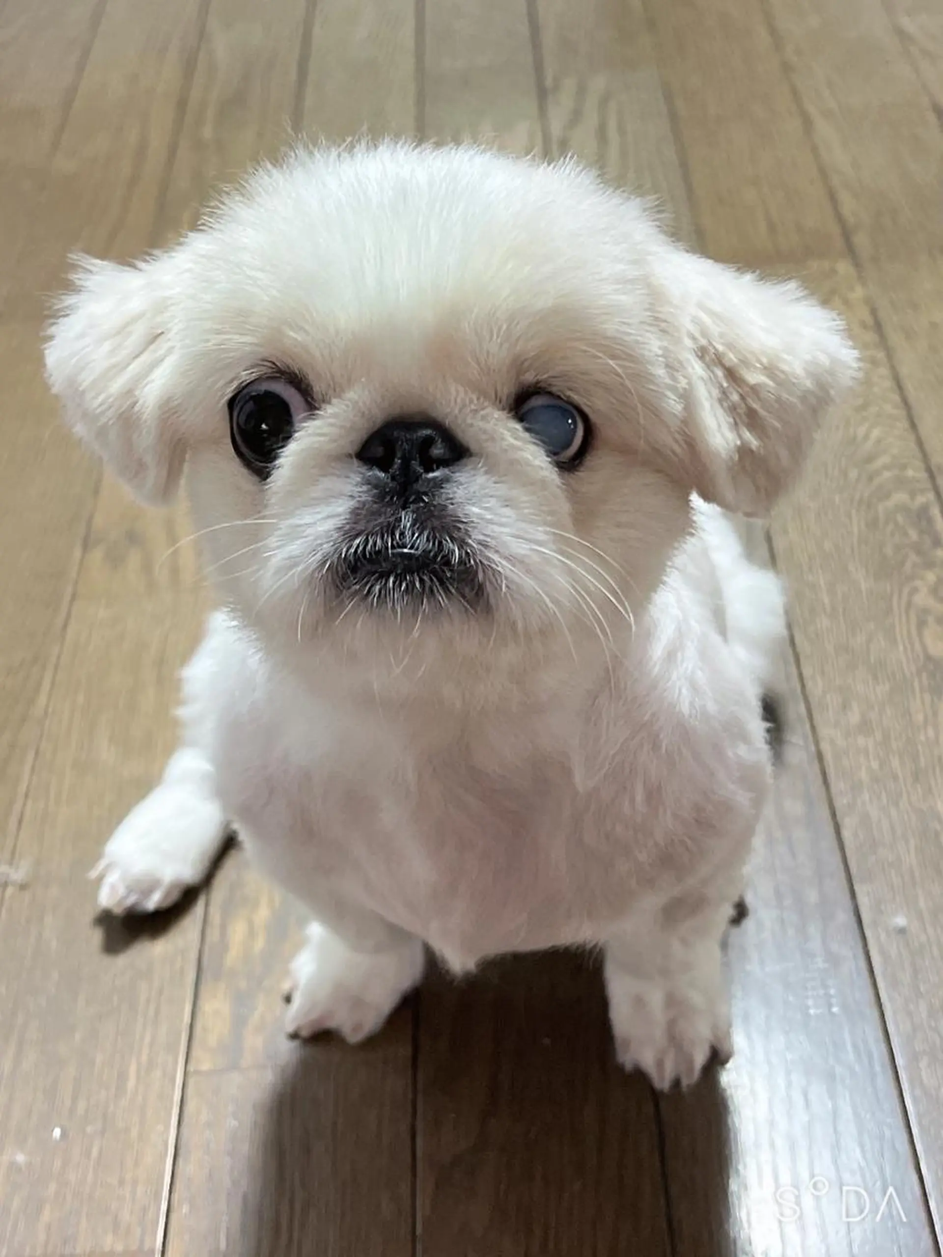 Y&Y Nail Salonのネイルデザイン