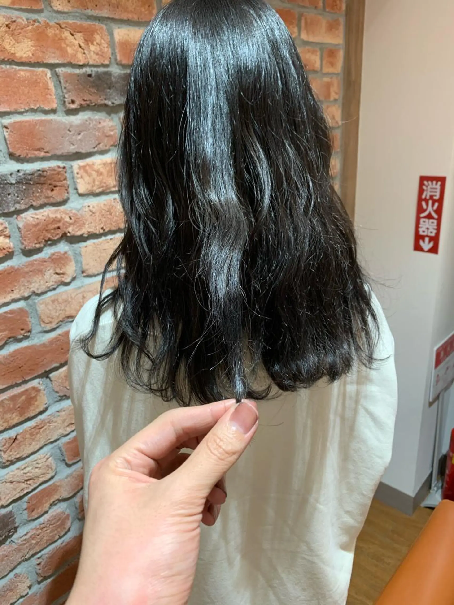 セミロング カラー ダークグレー 髪質改善美容室Lust所属・美容室Lust💚 嶋崎　鷹のヘアスタイル
