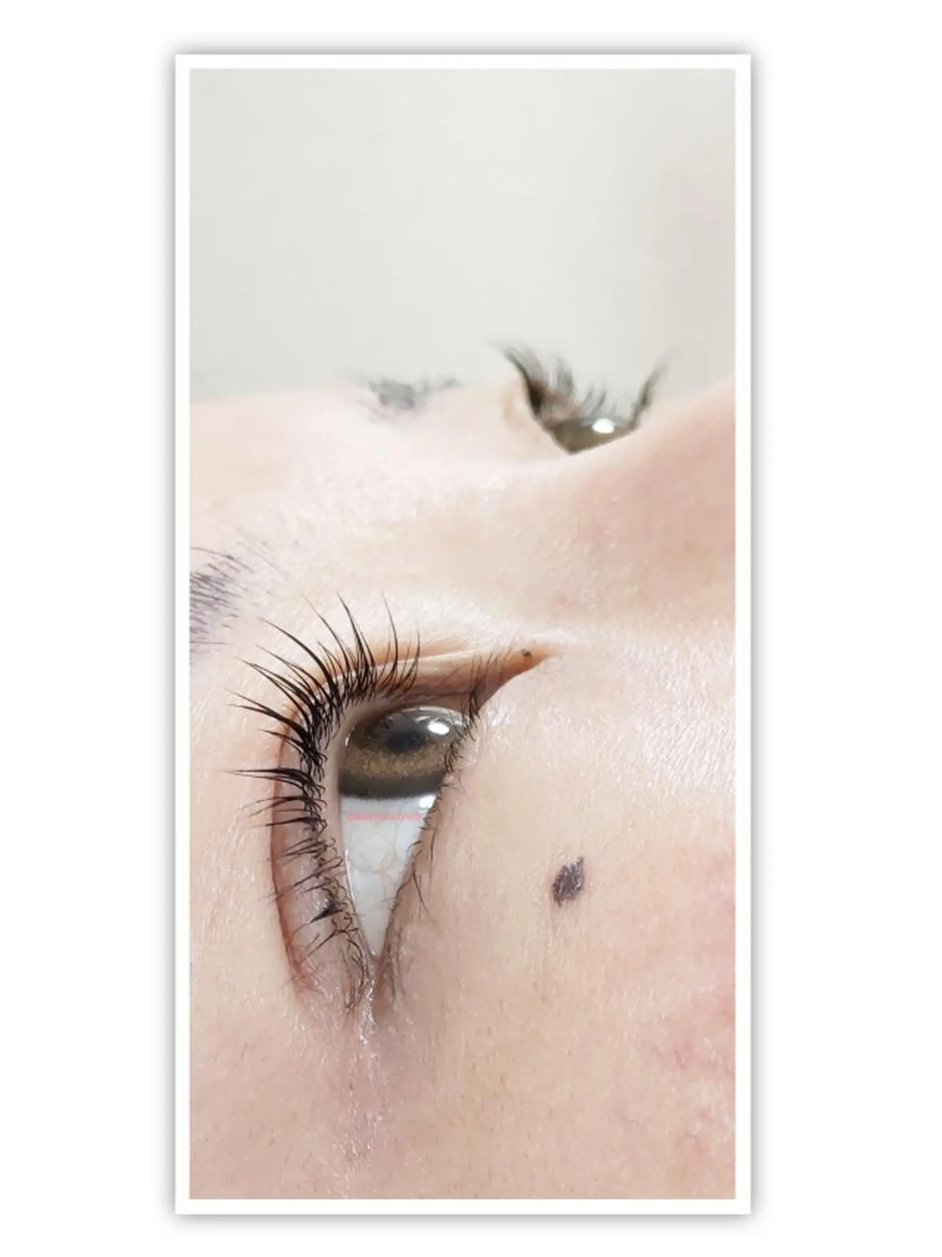 マツエク・マツパ 🎼グラデーション スタイル札幌♫*⁠✧のマツエク・マツパデザイン