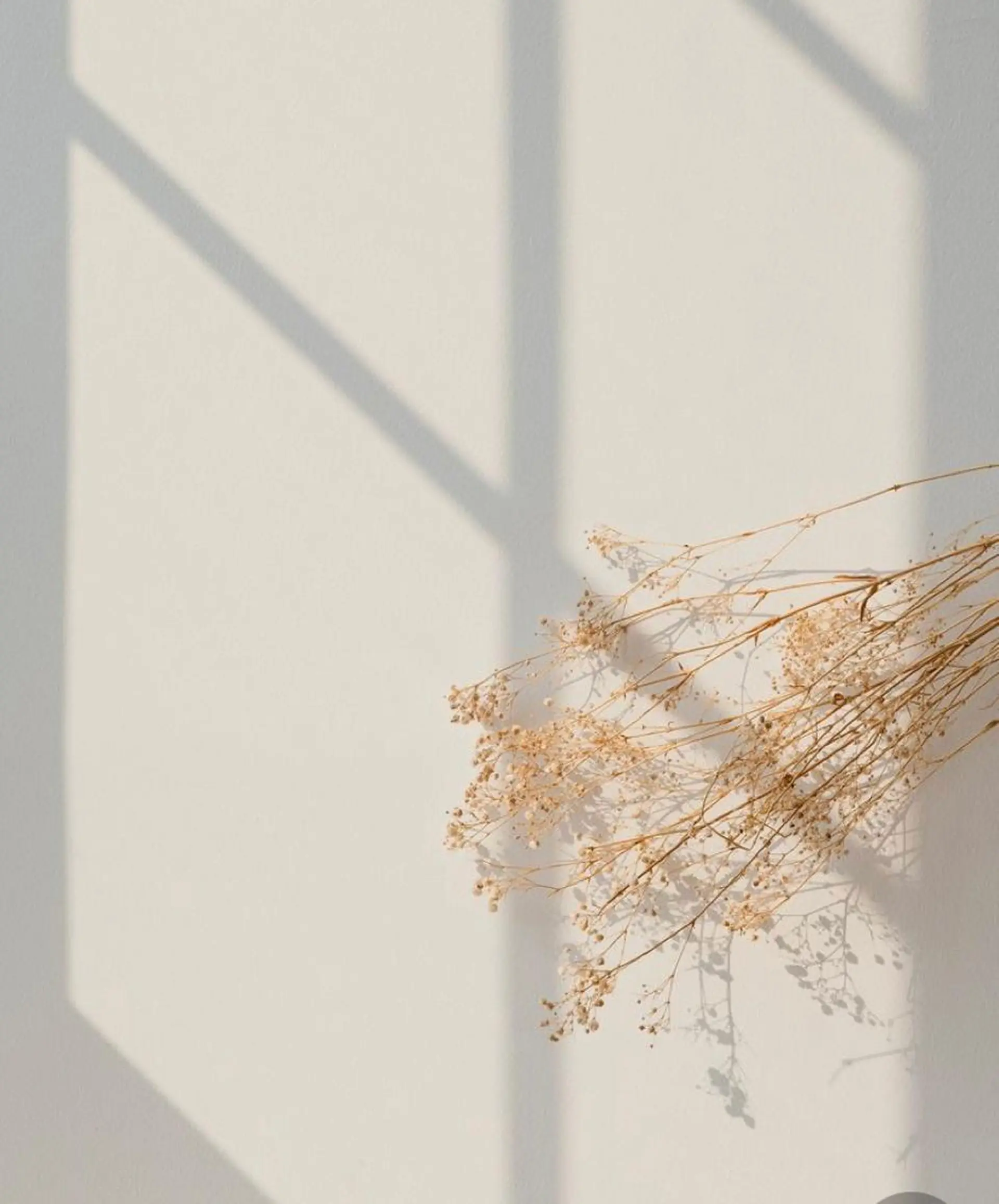 THE DAY所属・AKI HASHIMOTOのヘアスタイル