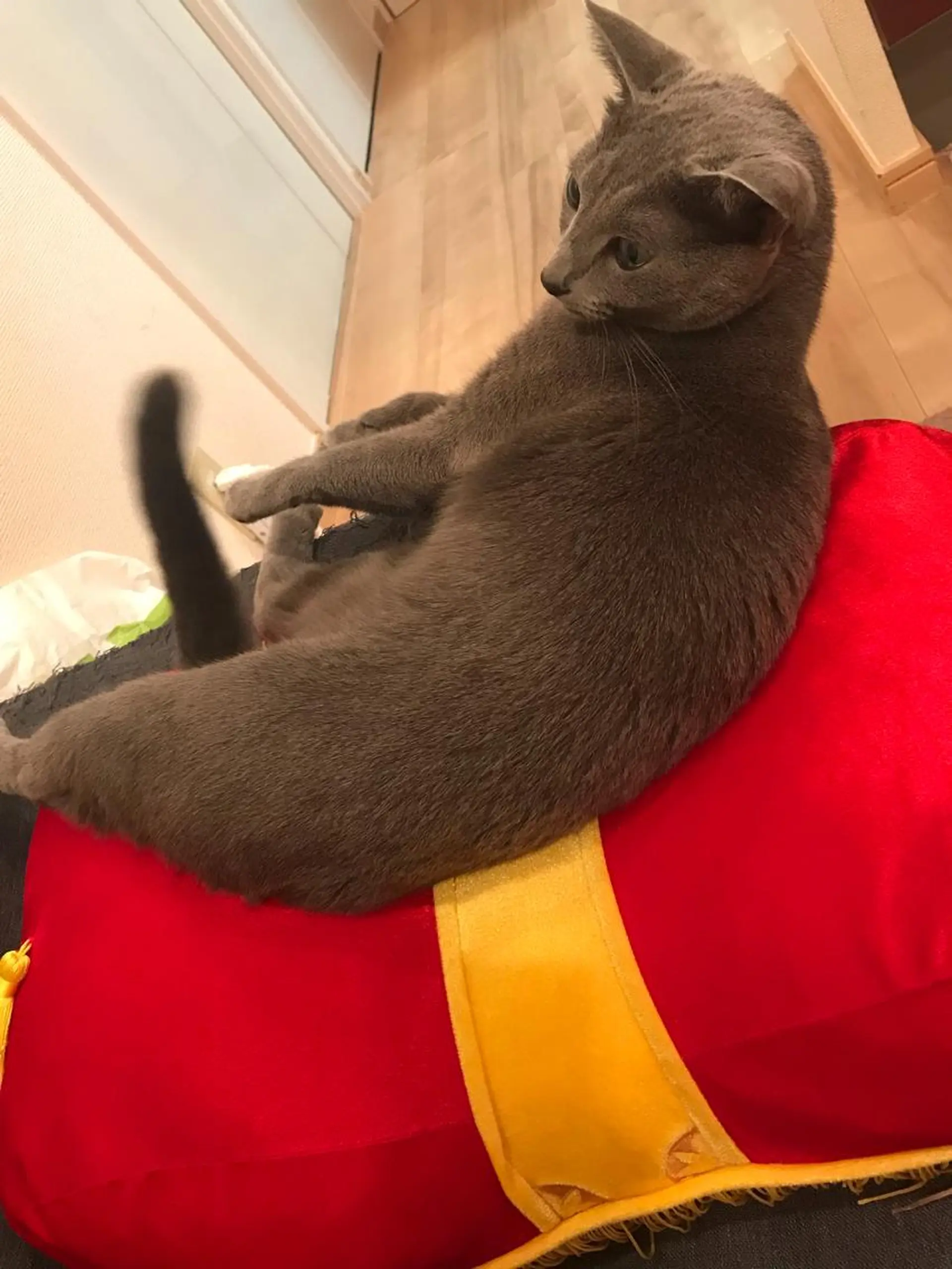 ショート カラー パーマ ヘアアレンジ メンズ キッズ ネイル マツエク・マツパ アニメ,Vオタク× 即効痩せエステサロンのエステ・リラクイメージ