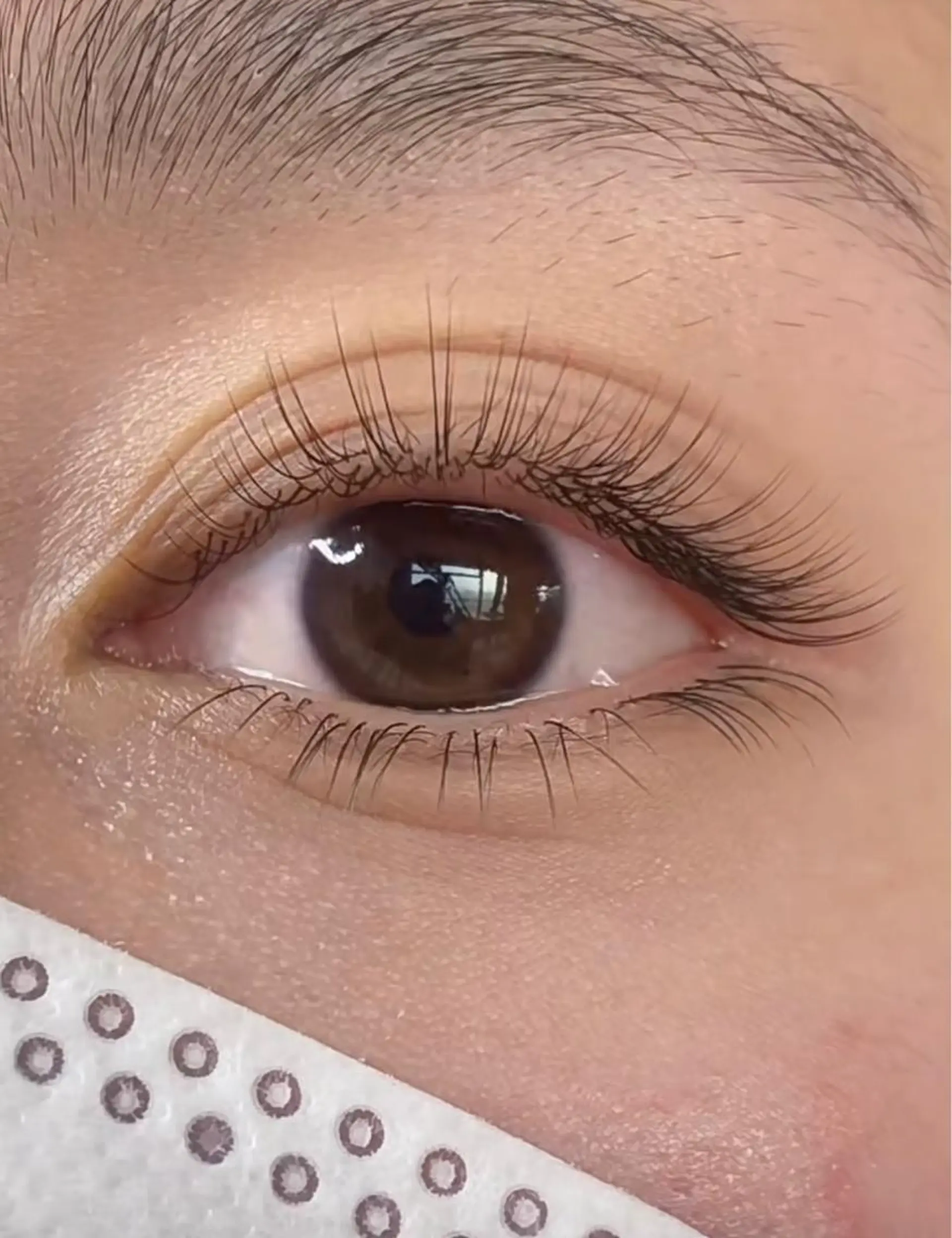 マツエク・マツパ Arana salonあゆみ🦋のマツエク・マツパデザイン