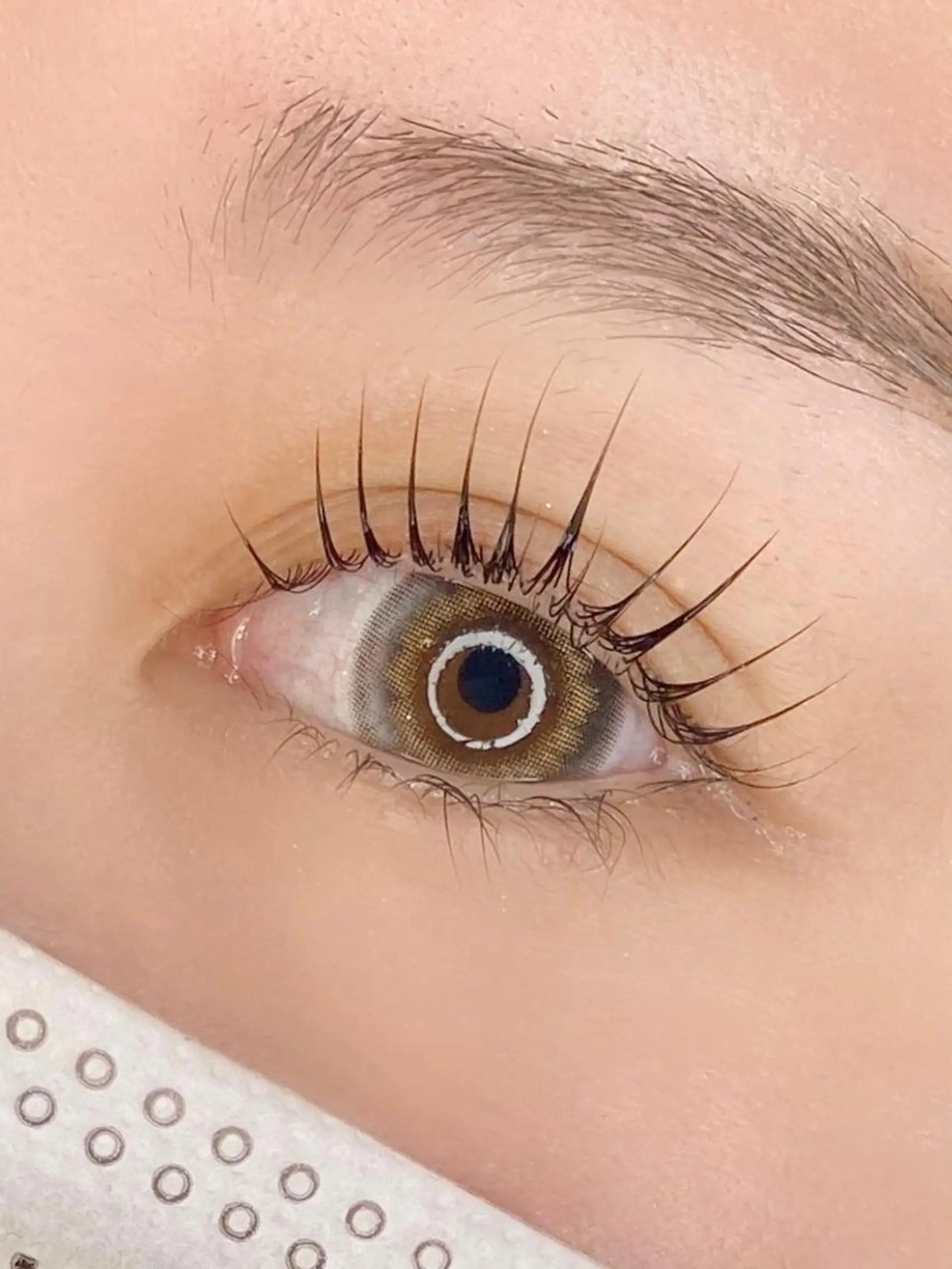マツエク・マツパ アイブロウ パリジェンヌラッシュリフト BEMOA eyelash&eyebrow所属・BEMOA 藤本 毬のマツエク・マツパデザイン