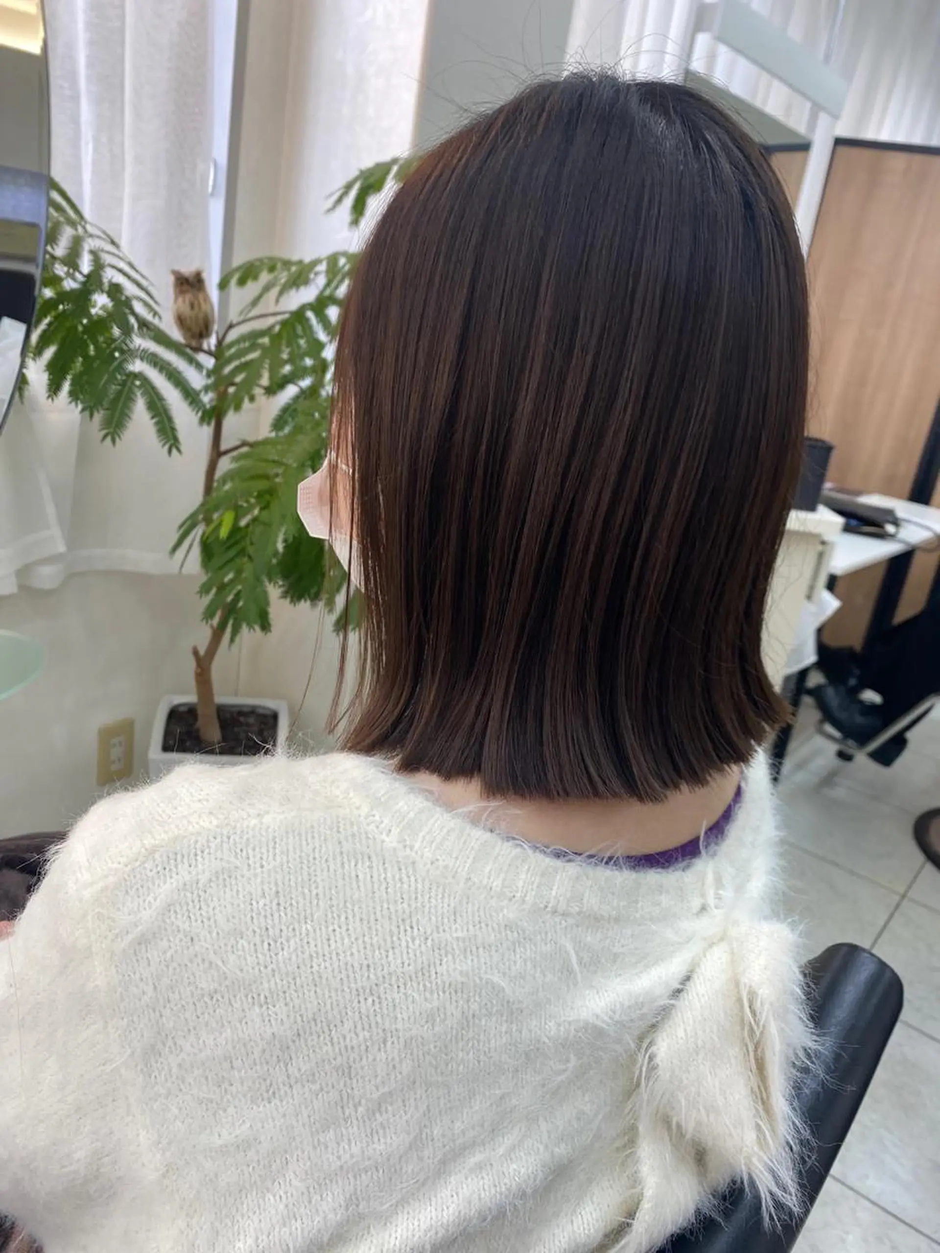 ショート カラー 切りっぱなしロブ かわしま ゆうみの眉毛・アイブロウイメージ