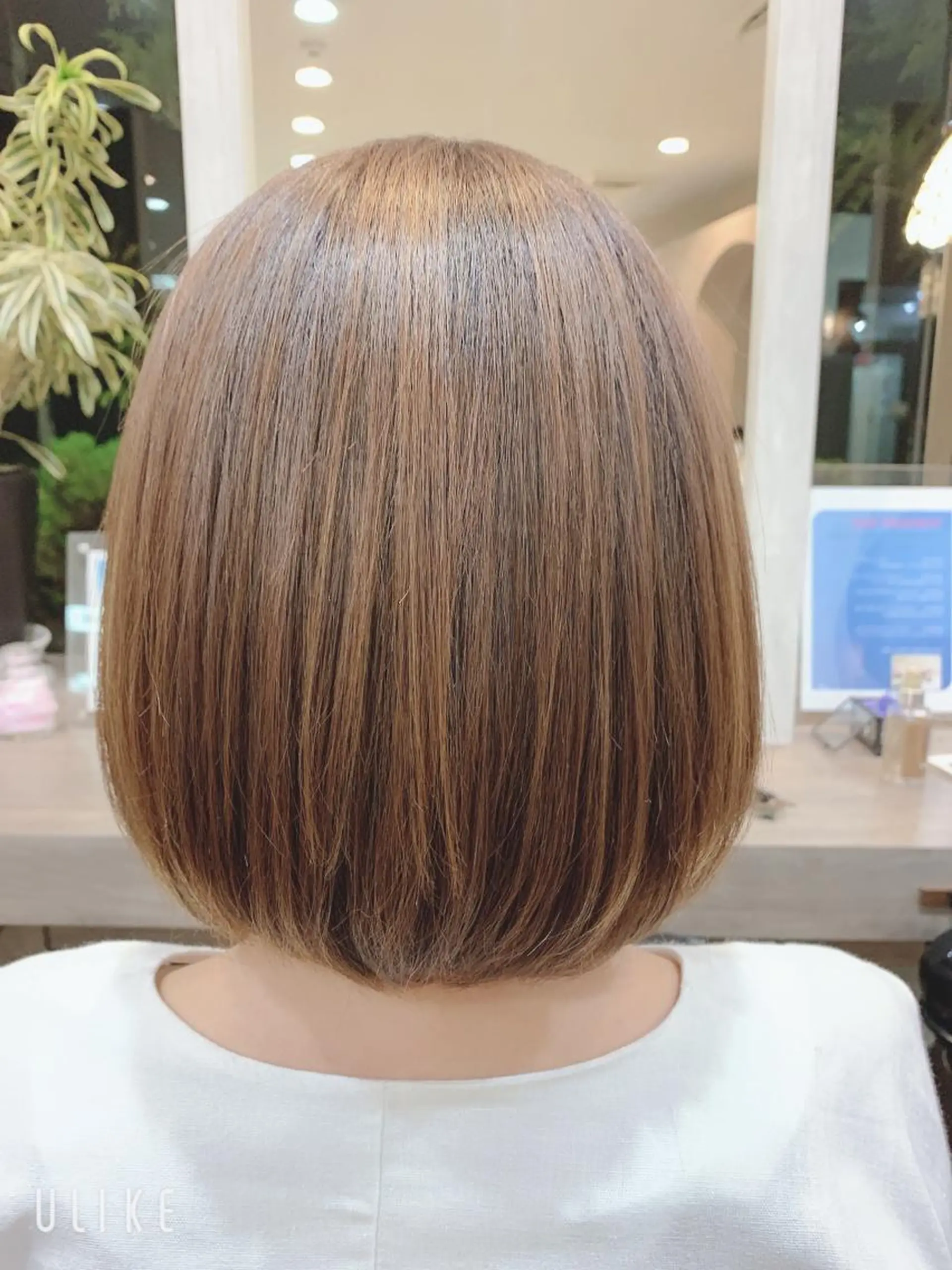 ミディアム カット トリートメント ecru🕊️堀内 眞帆のヘアスタイル