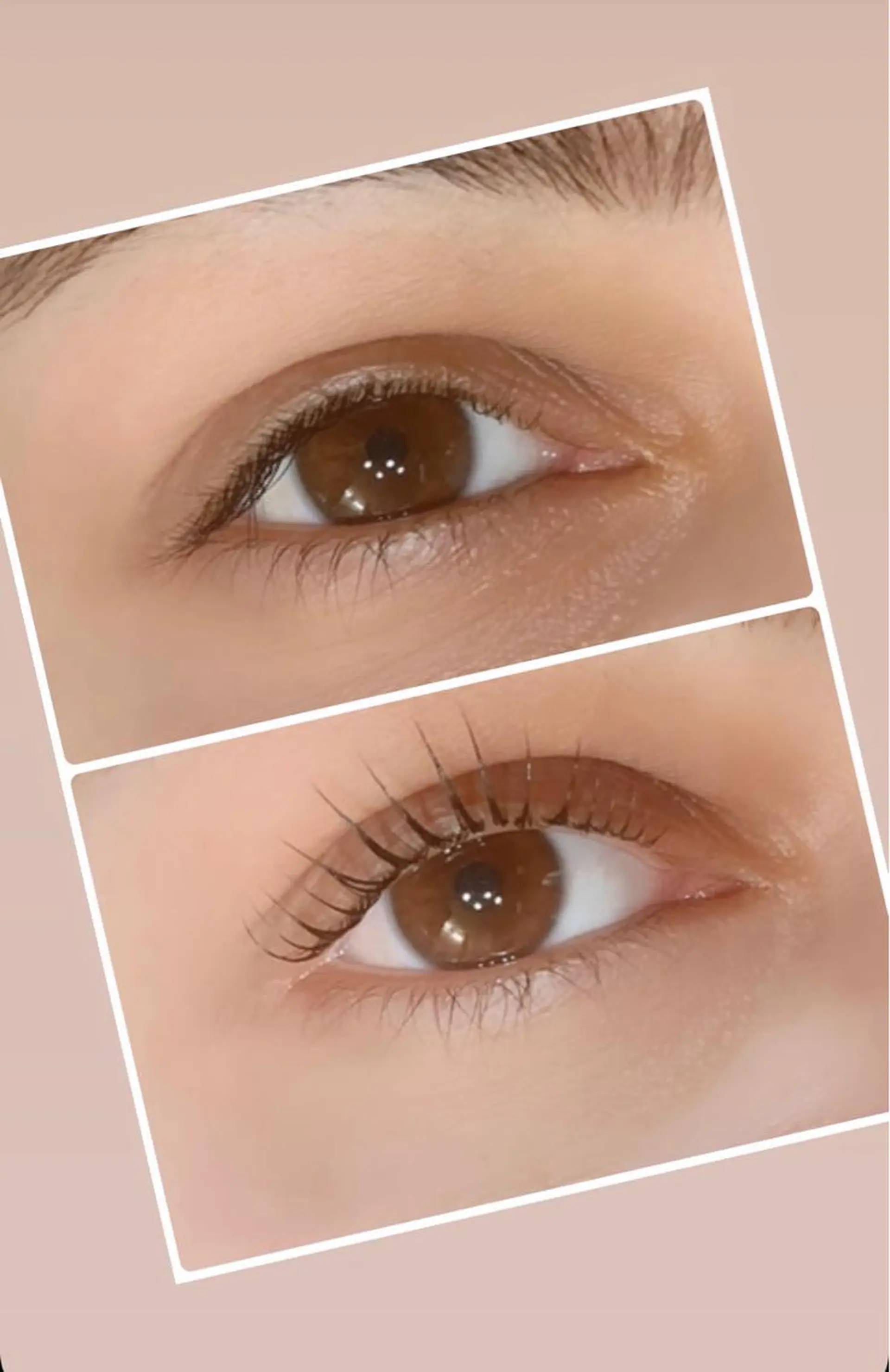 マツエク・マツパ マツパ マツパ◎LED マツエク,モチ◎のマツエク・マツパデザイン