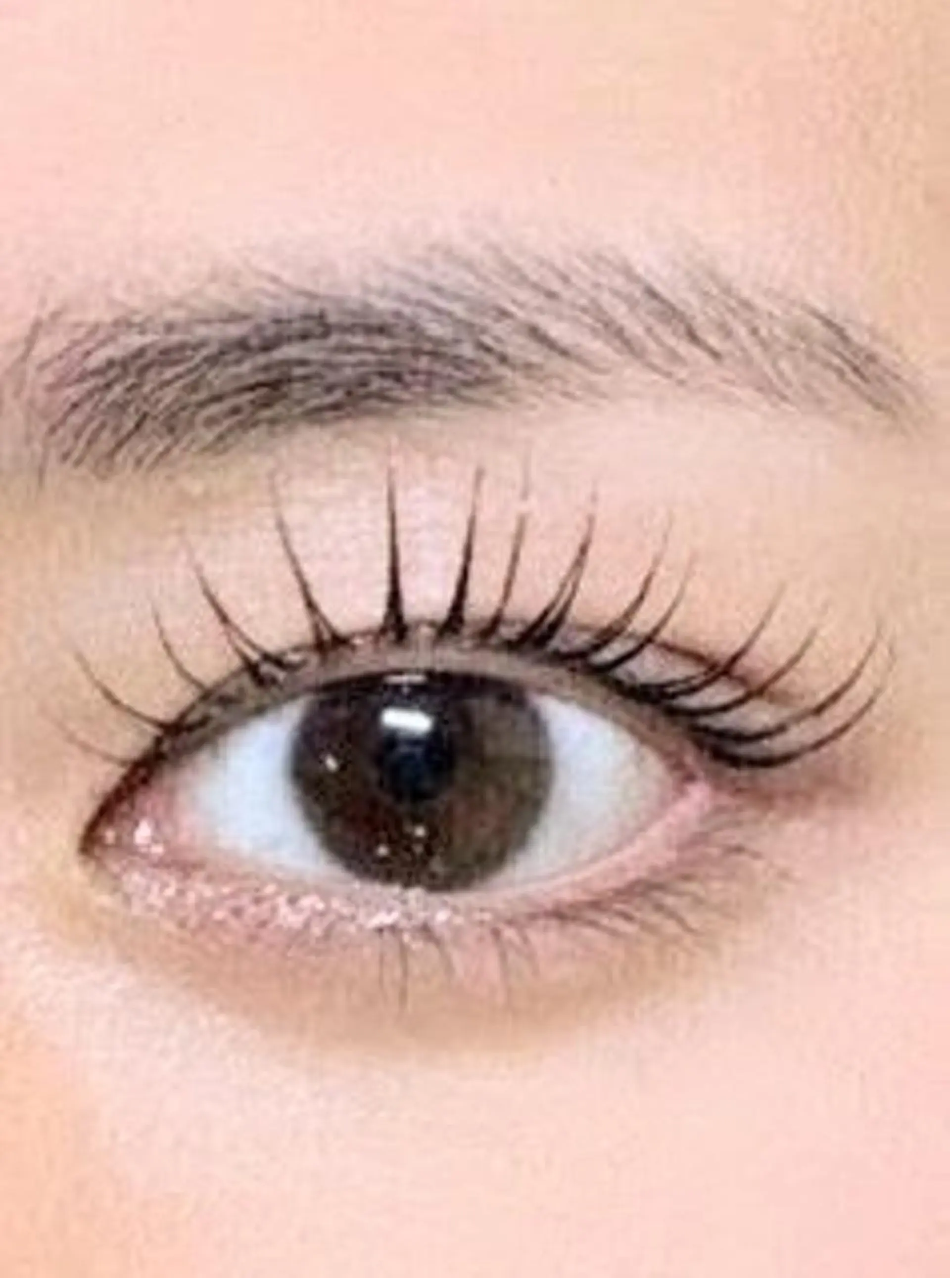 マツエク・マツパ パリジェンヌラッシュリフト まつげパーマ 下まつげエクステ 一重×まつ毛パーマ ワンホンマツエク Reline まつげ、ネイルのマツエク・マツパデザイン