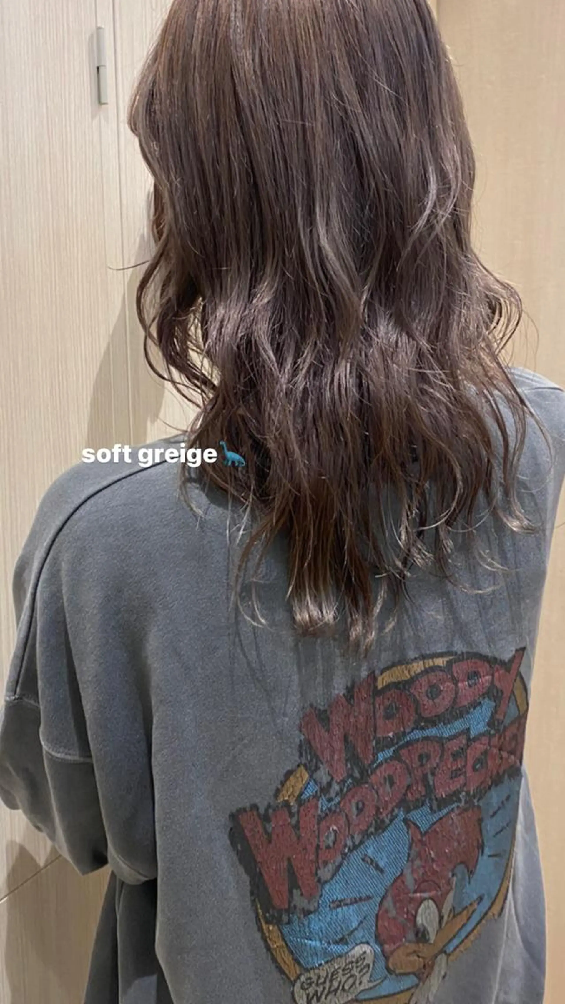 ロング プルエクステ🦕⭐︎ /konomiのヘアスタイル
