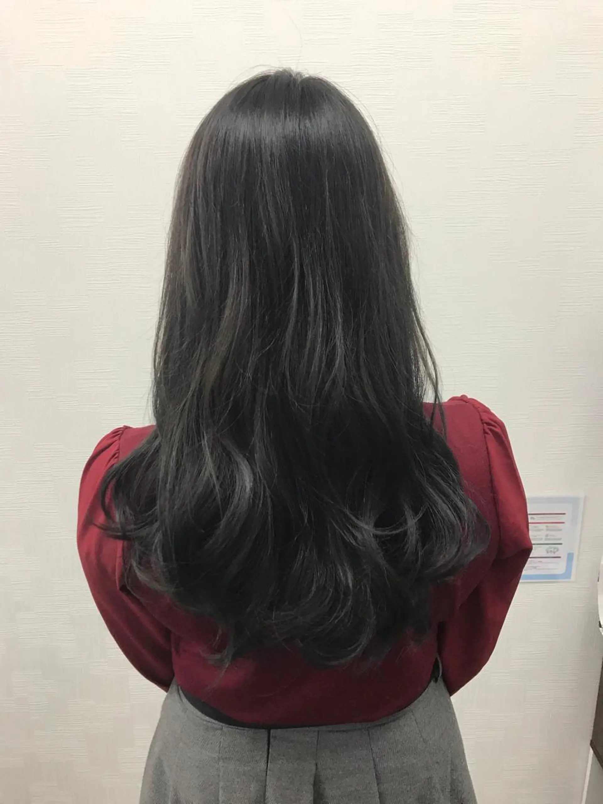 ロング カラー アッシュ ダークグレー N-plants 和泉中央店のヘアスタイル