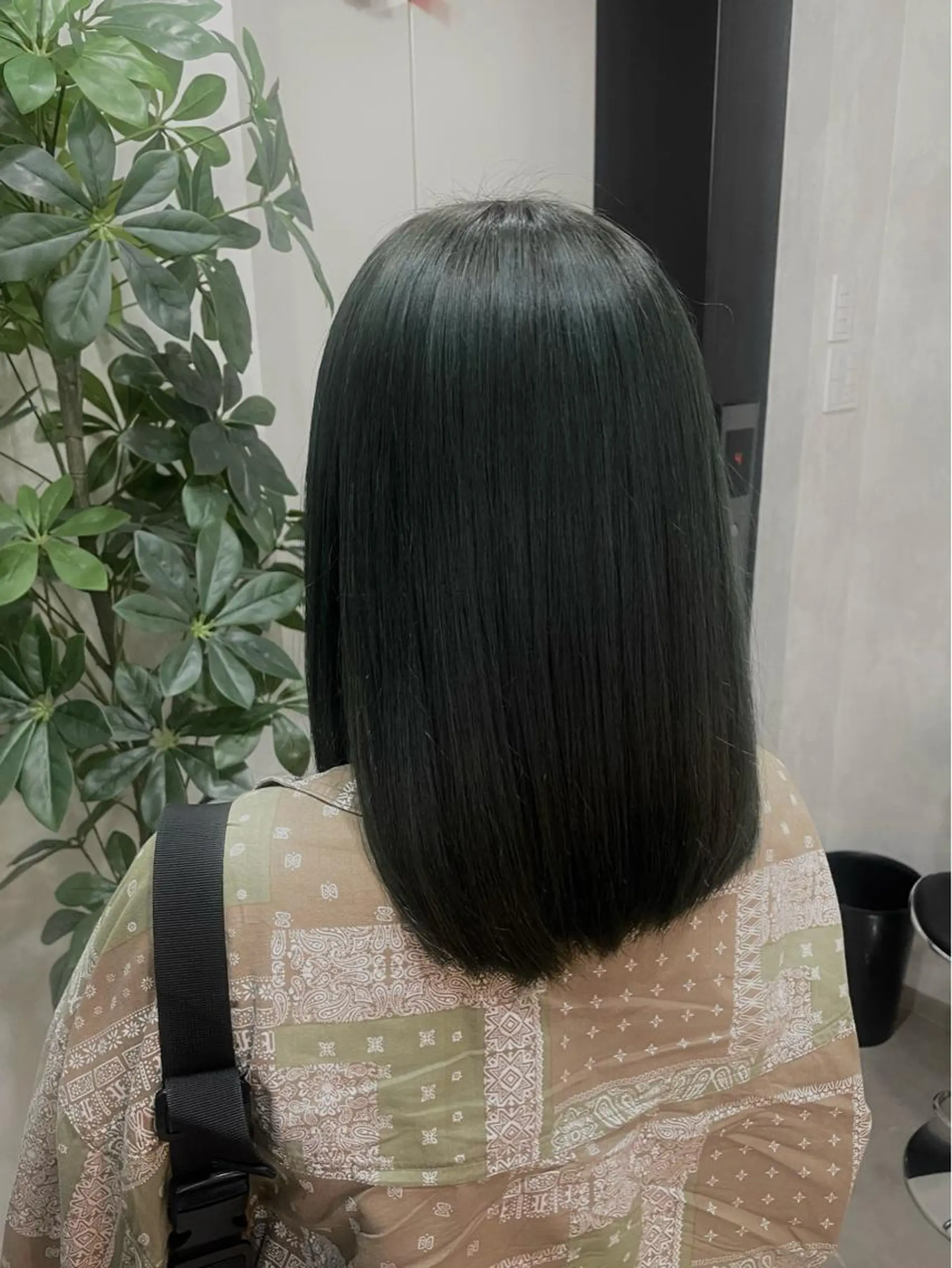 セミロング カット ヘアカラー 縮毛矯正 トリートメント 縮毛矯正/髪質改善 韓国風/MIKIYAのヘアスタイル