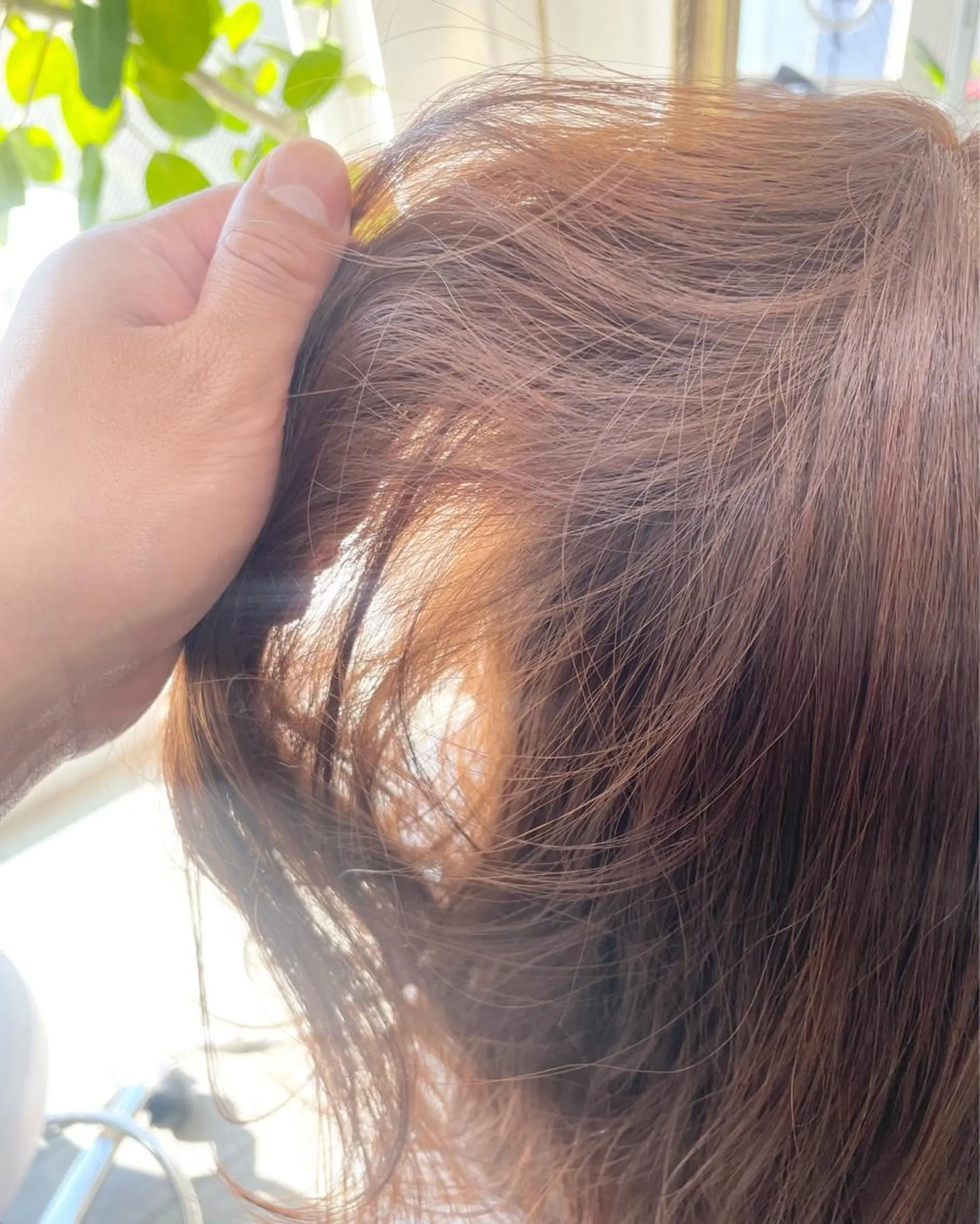 ミディアム カラー シバタ ショウゴのヘアスタイル