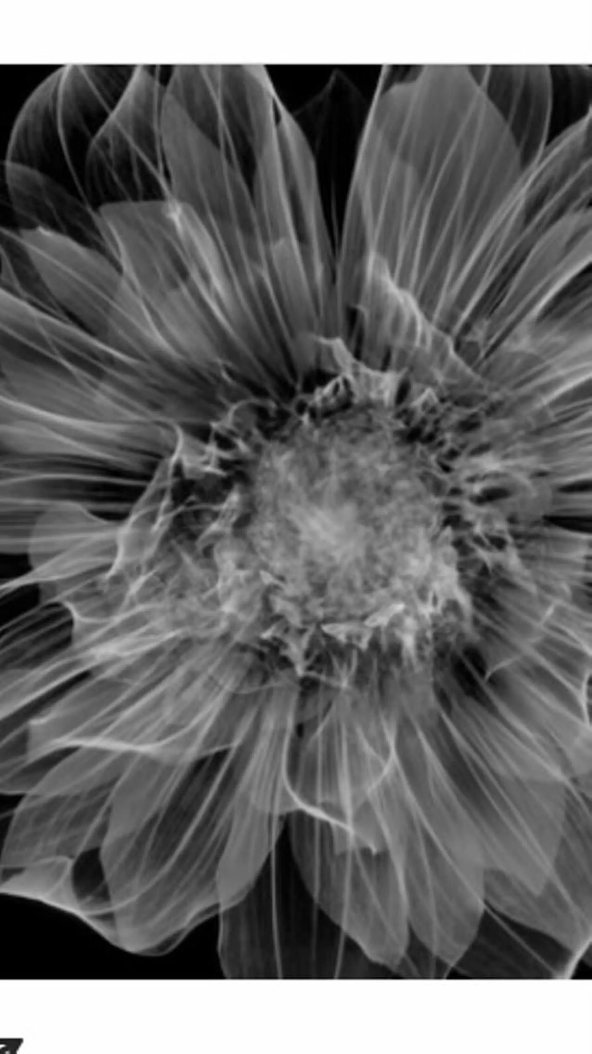 ポーラザビューティー松原店所属・ポーラ松原店 北口のエステ・リラクイメージ