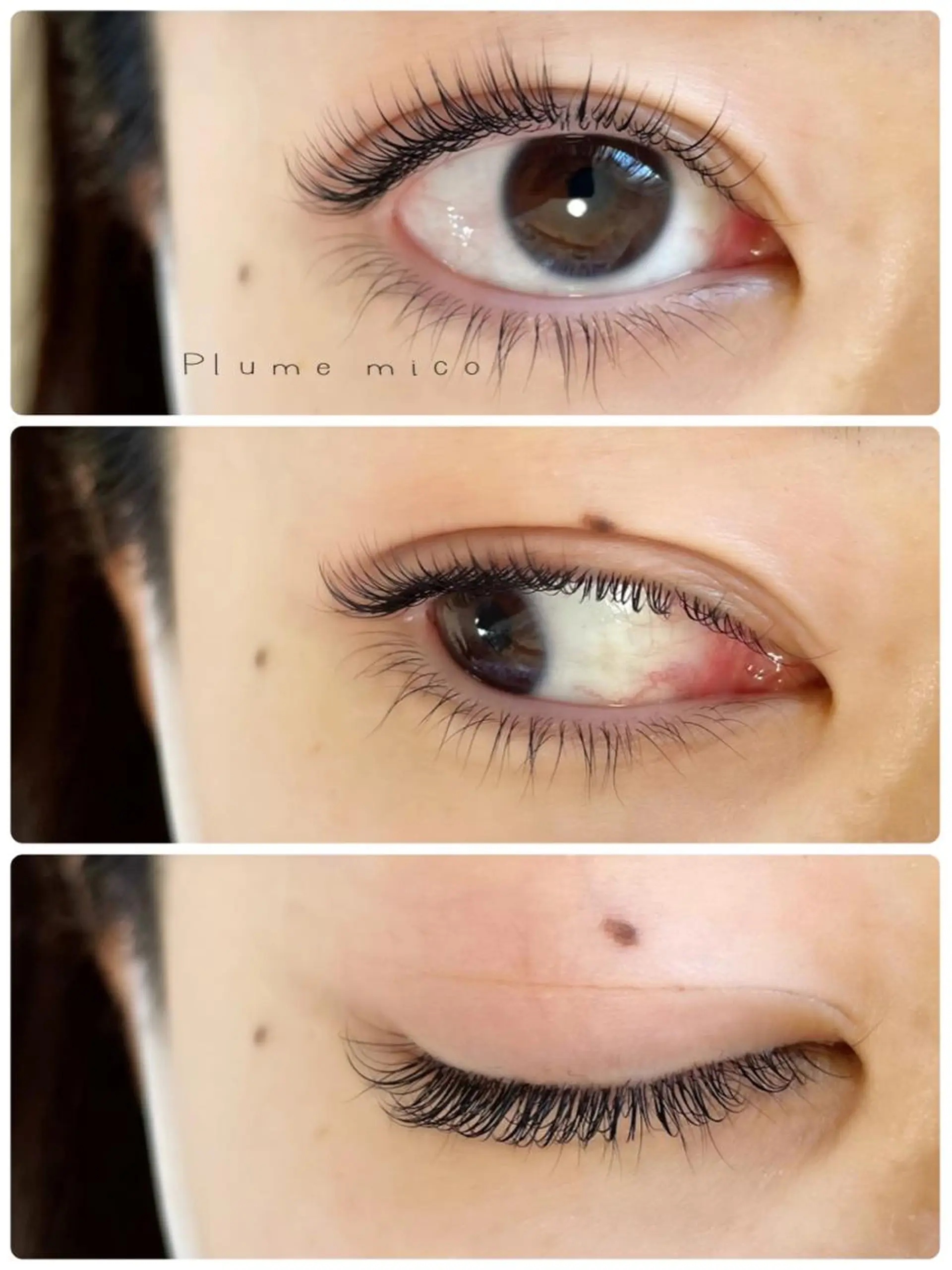 マツエク・マツパ マツパ Plume micoのマツエク・マツパデザイン