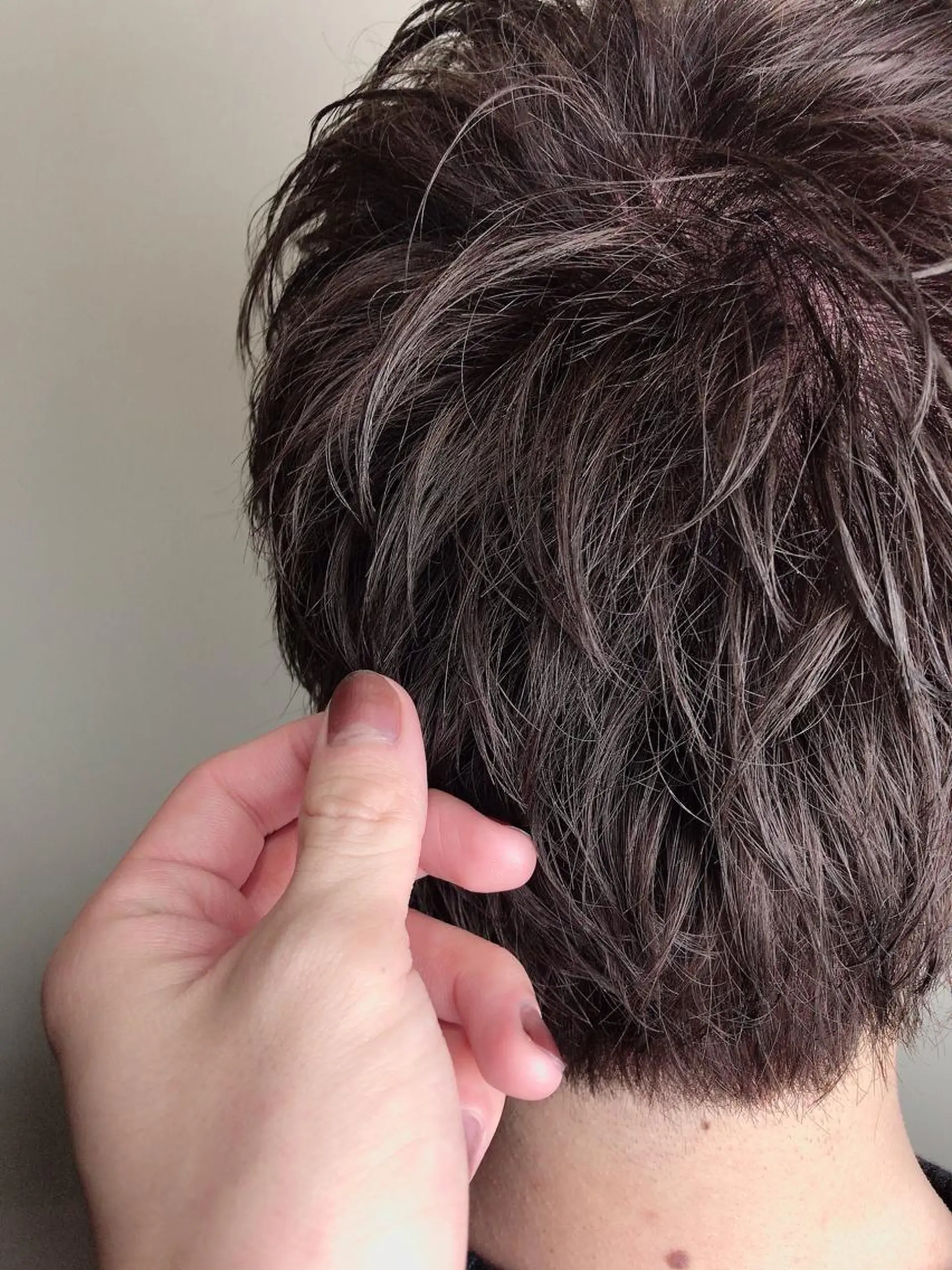 ショート 🌈インナーカラー 手塚直生のヘアスタイル