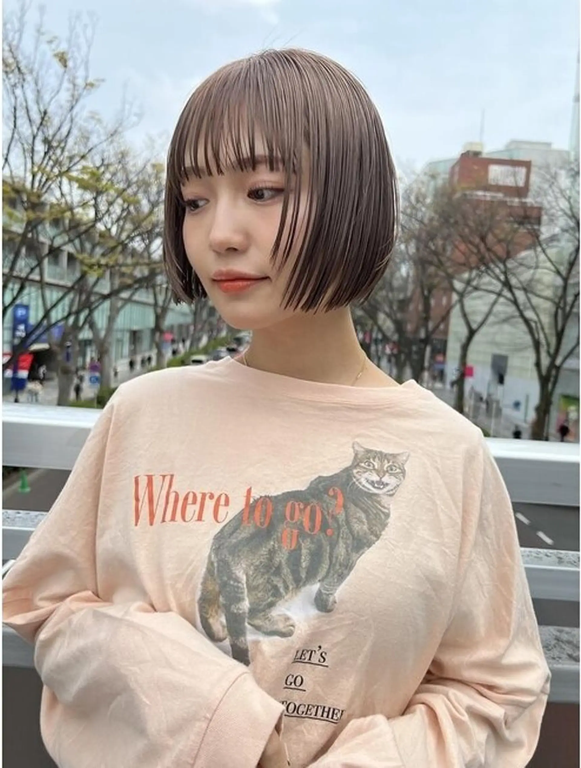 ミディアム アッシュ ボブ ハイライト 髪質改善 韓国風ヘア ヘアカラー トリートメント 酸性縮毛矯正の達人 髪質改善【美冴】のヘアスタイル