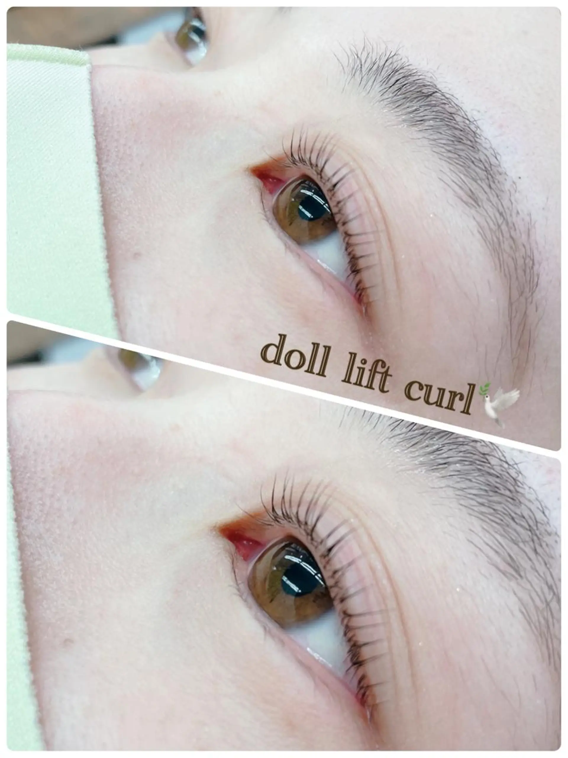 マツエク・マツパ WE RULE 札幌店 【ウィールール 札幌店】所属・✨️大人ショート 髙橋朋花のヘアスタイル