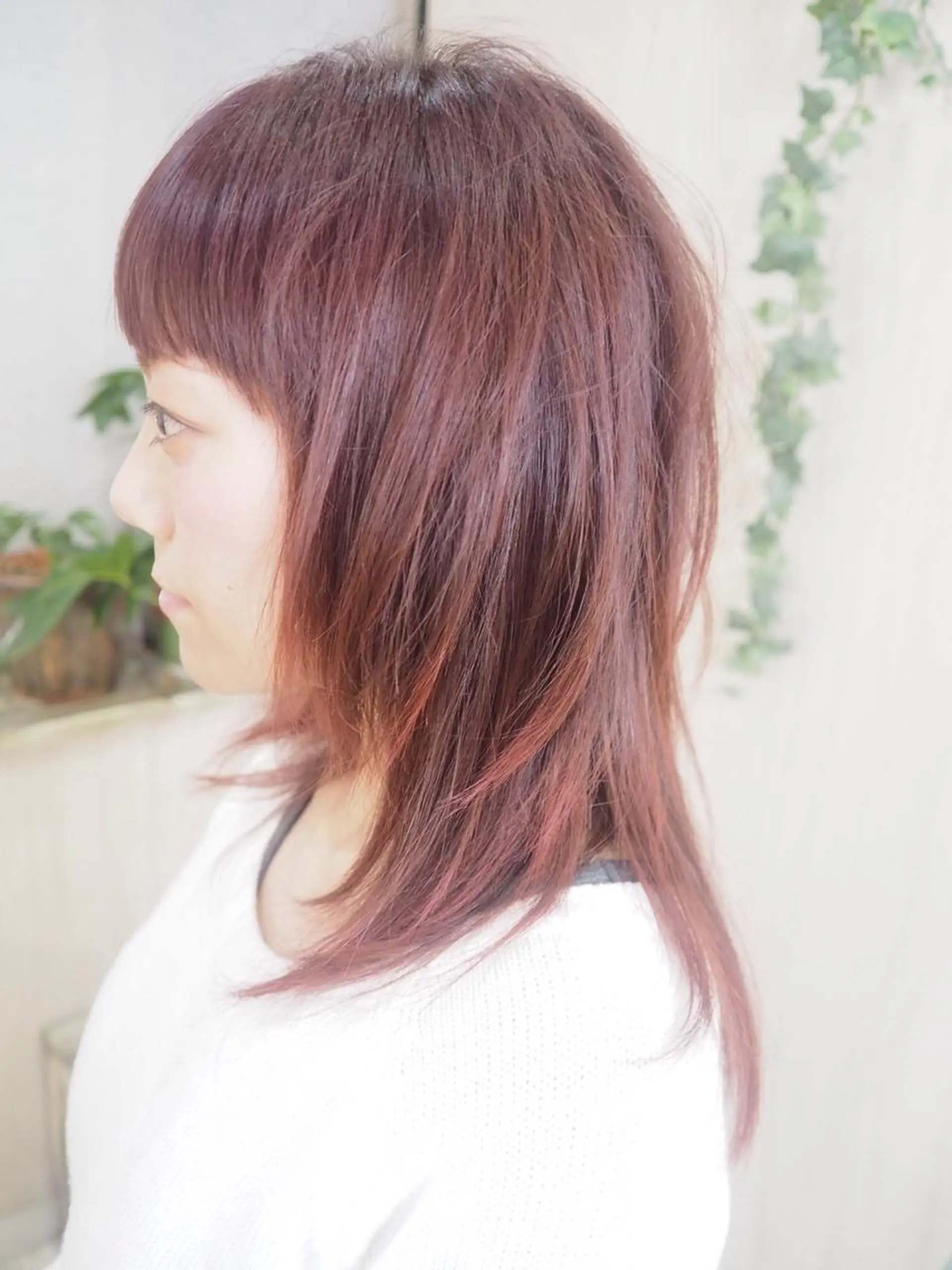 ミディアム カラー レッドカラー ウルフカット 【全部無料🙇】 おがわようしんのヘアスタイル
