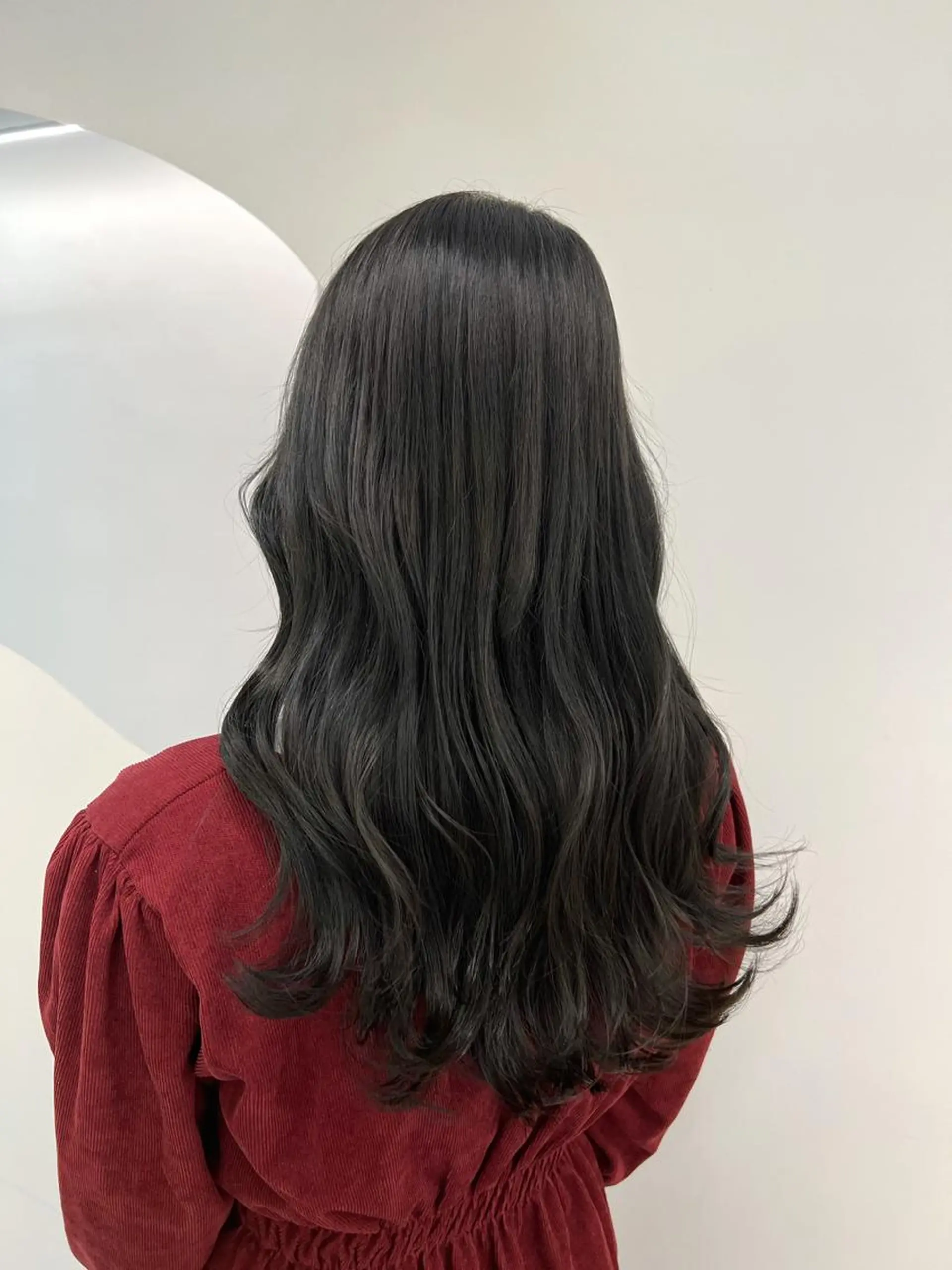 ロング カラー 黒髪 透明感カラー グレーブラック ヘアカラー 韓国ヘア☁️ mitsukiのヘアスタイル