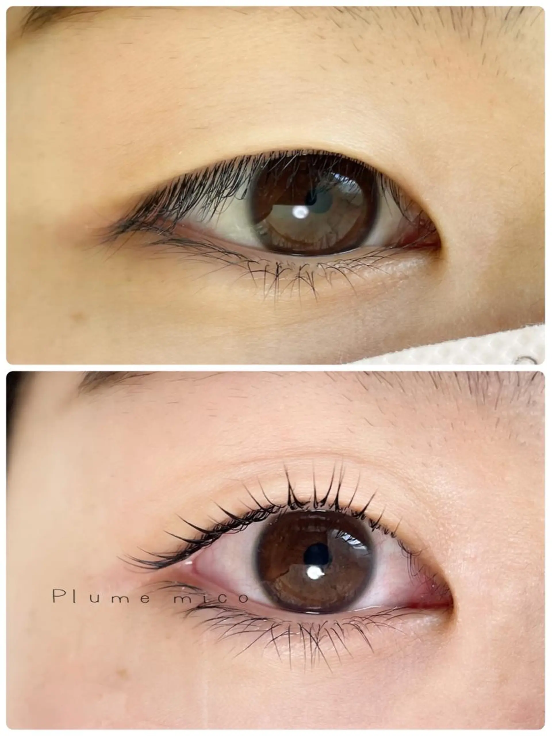 マツエク・マツパ マツパ Plume micoのマツエク・マツパデザイン