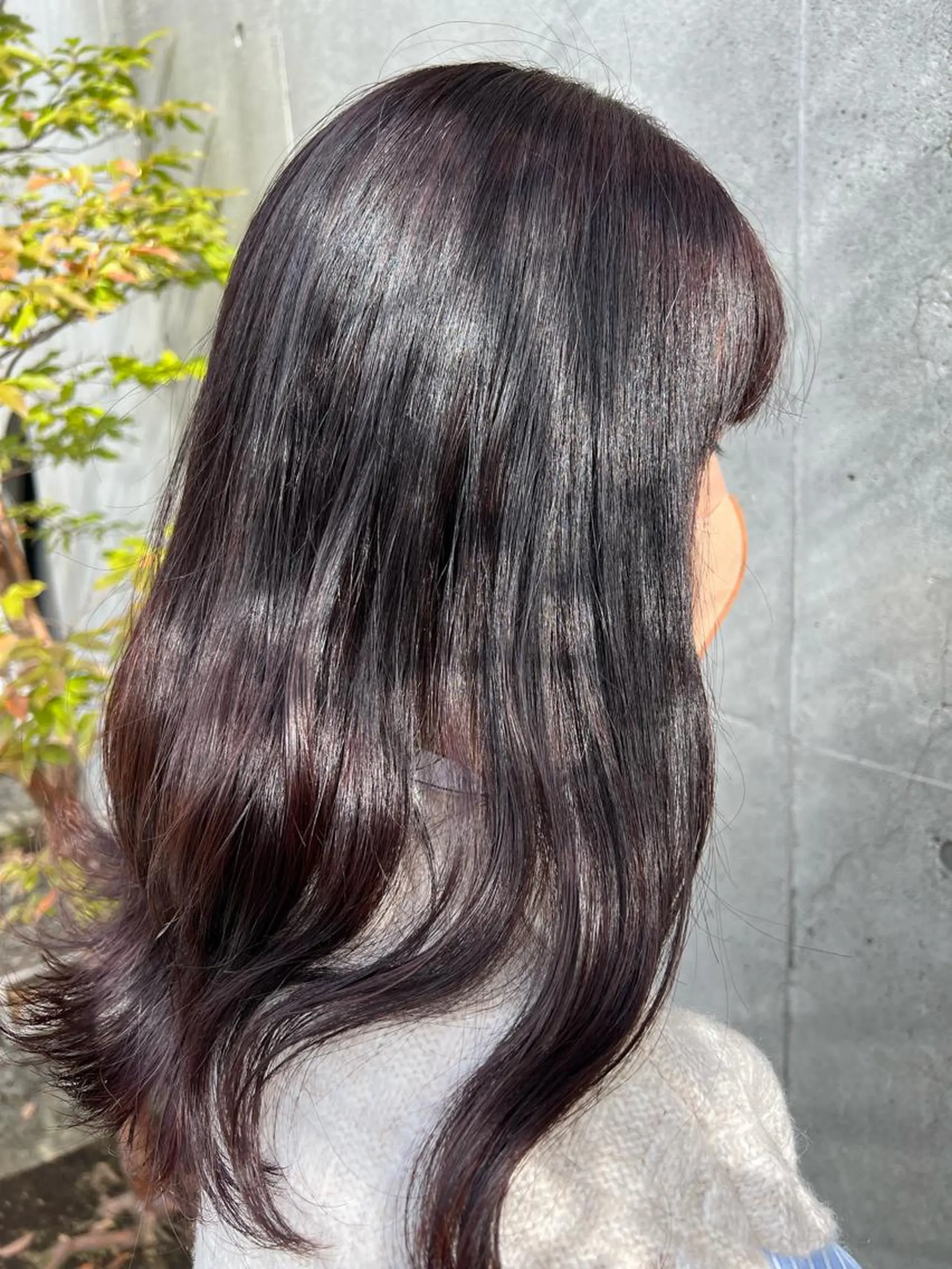 セミロング カラー カシス ピンクカラー 🎧パーソナルケア/ 透明感カラー/ミユのヘアスタイル