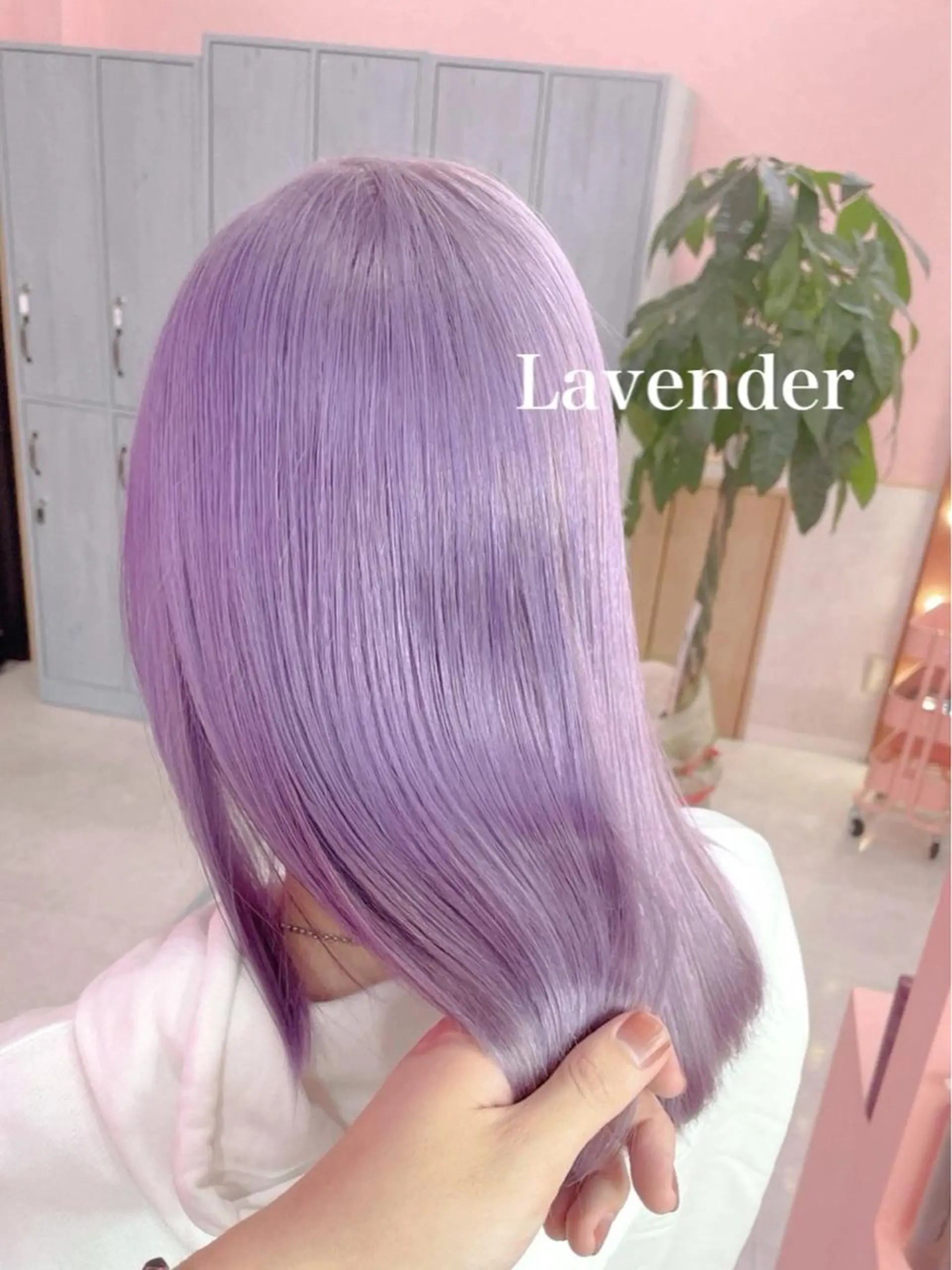 カラー アッシュ アッシュグレー アッシュグレージュ バレイヤージュ ミストバング デザインカラー MIKU🦋のヘアスタイル