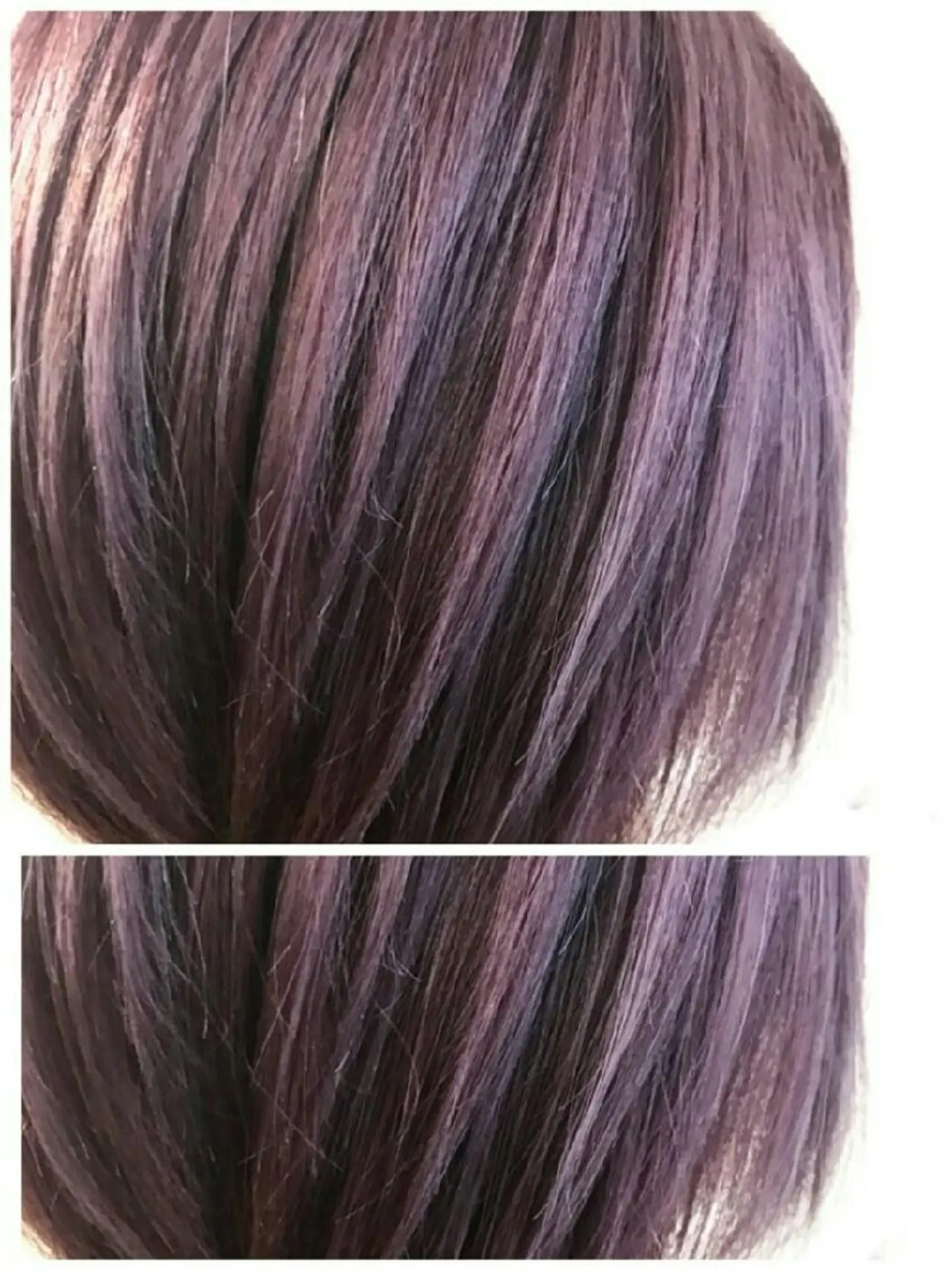 ショート カラー salowin自由が丘COMS所属・白井 秀太郎のヘアスタイル