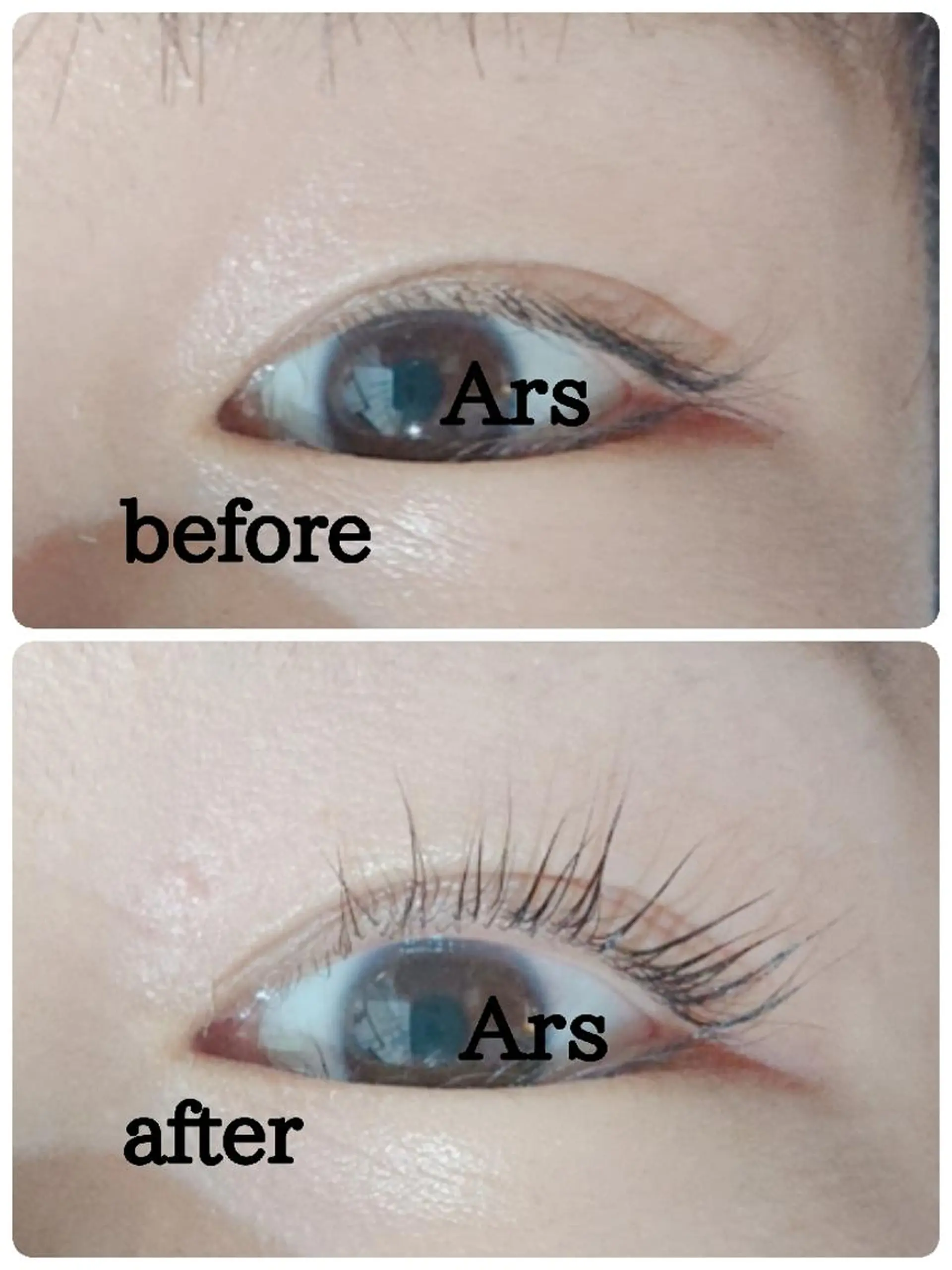 マツエク・マツパ アイリッドアップパーマ Ars (アルス)所属・Ars (アルス)のマツエク・マツパデザイン