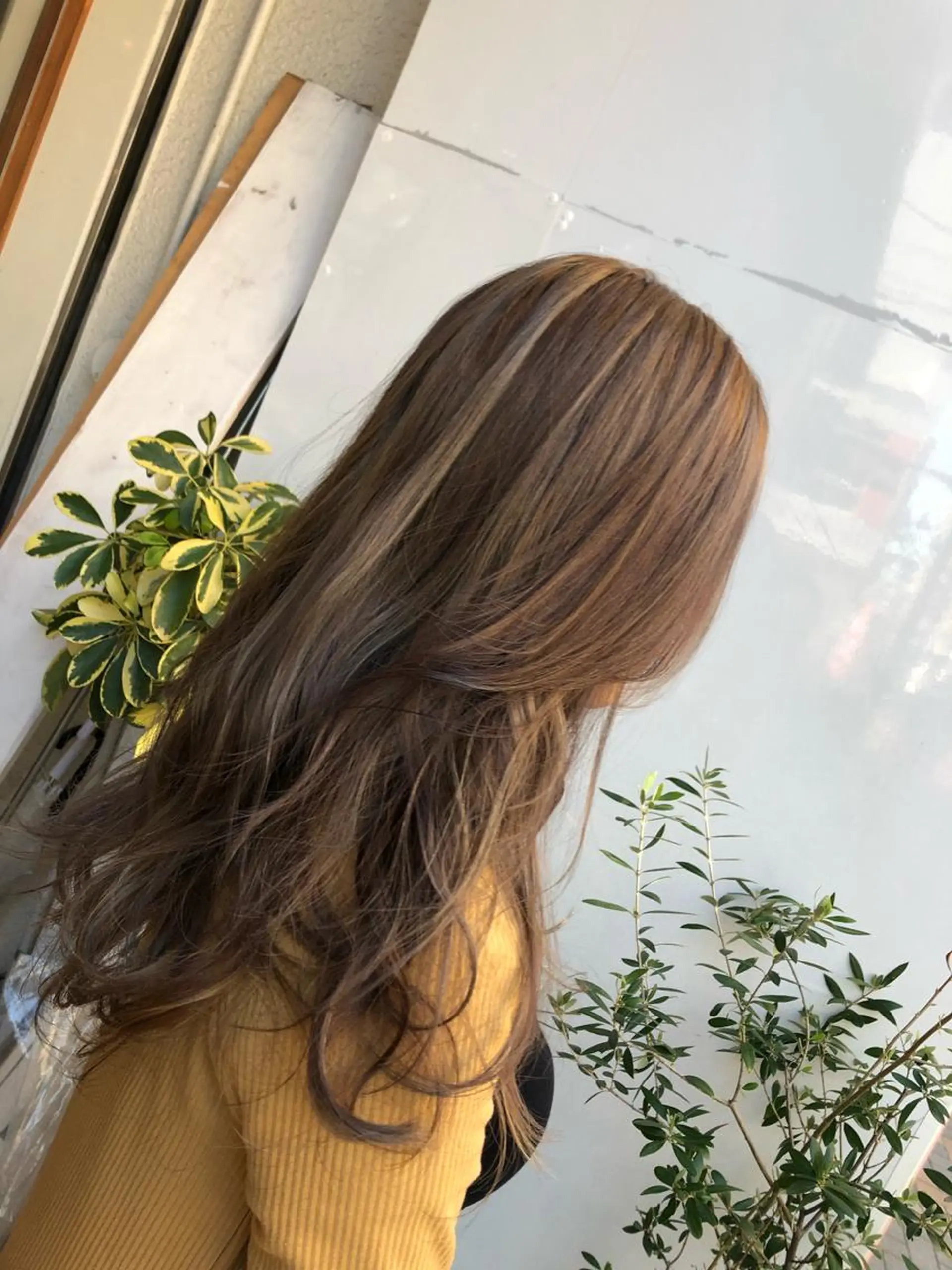 ロング カラー ブラウンカラー ハイライトカラー ハイライト ヘアカラー 新井 友菜のヘアスタイル