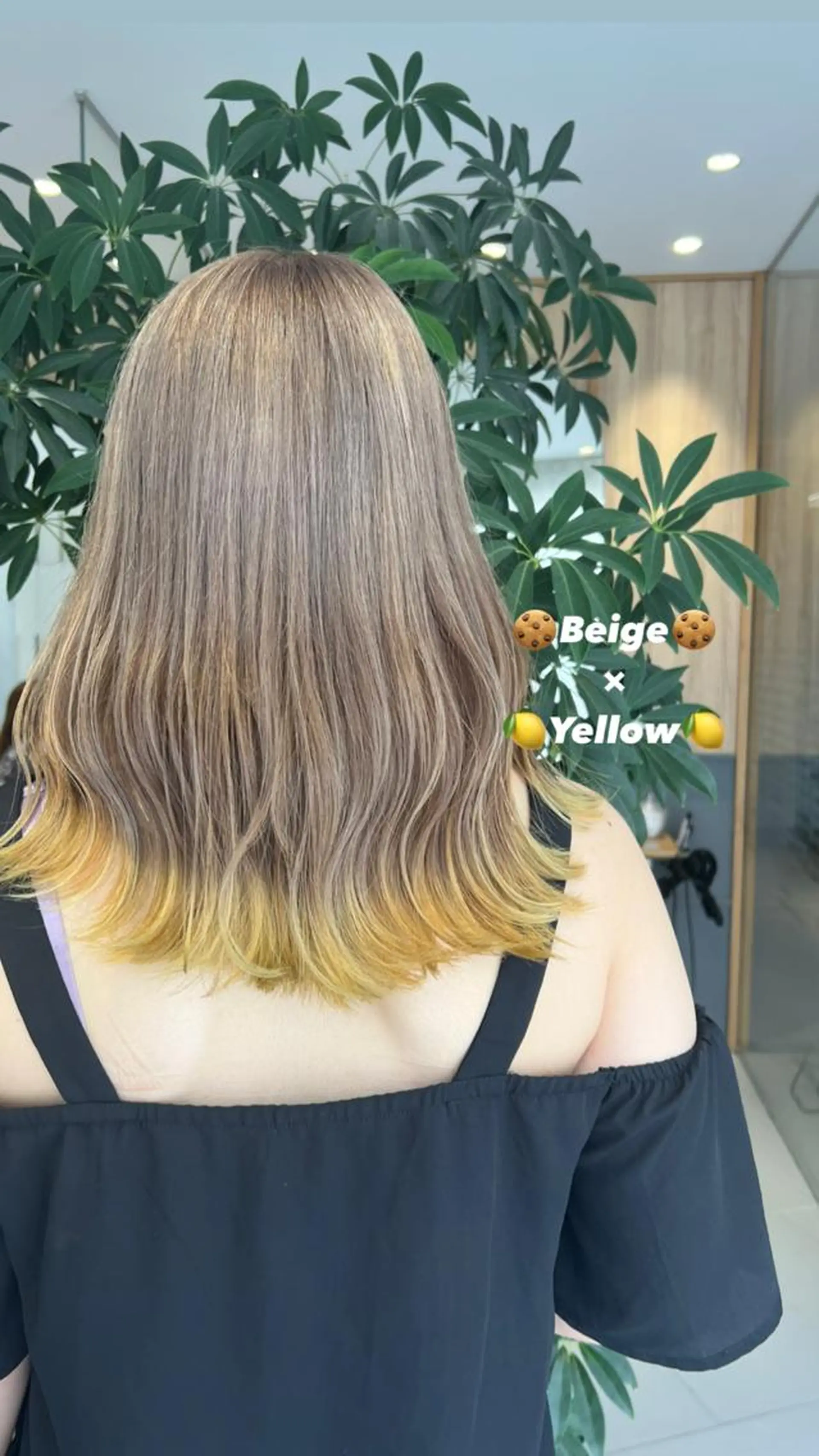 セミロング カラー ベージュカラー イルミナカラー ミルクティーベージュ イエローカラー Rena ,のヘアスタイル