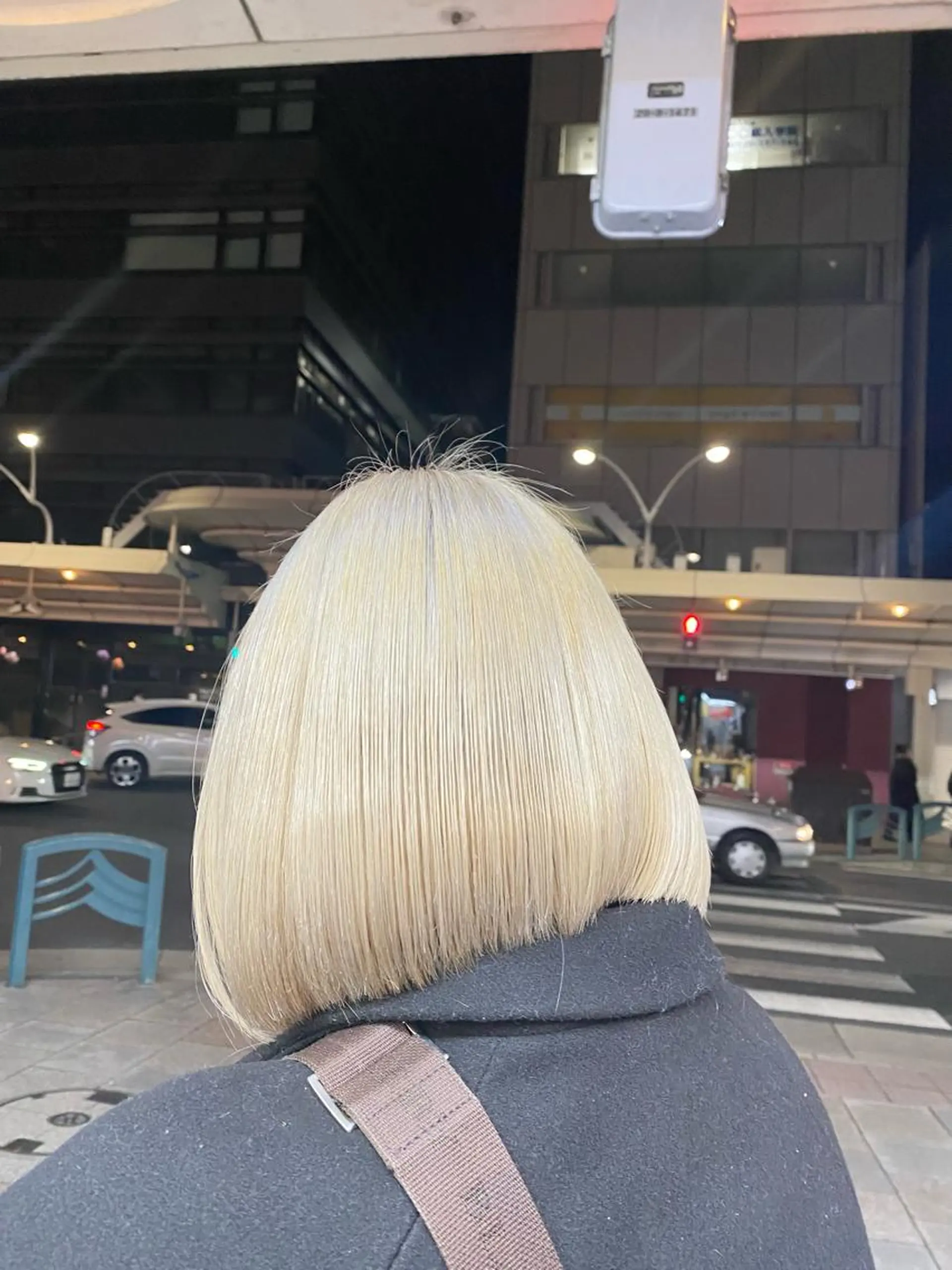 カラー ハイトーン/ブリーチ カラー/SHOGOのヘアスタイル