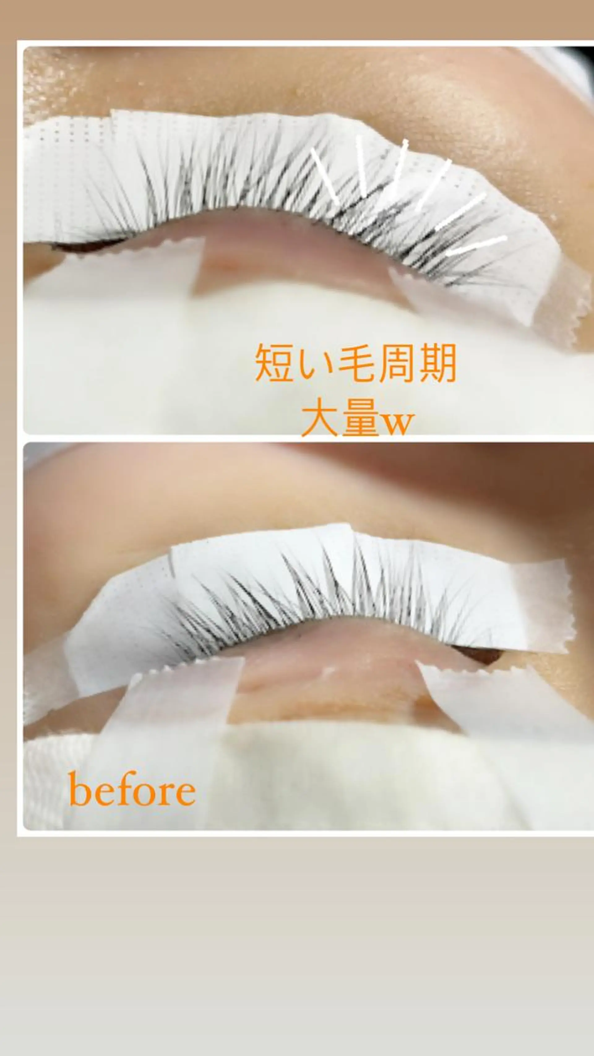 マツエク・マツパ Dカール salonde CHANELのマツエク・マツパデザイン