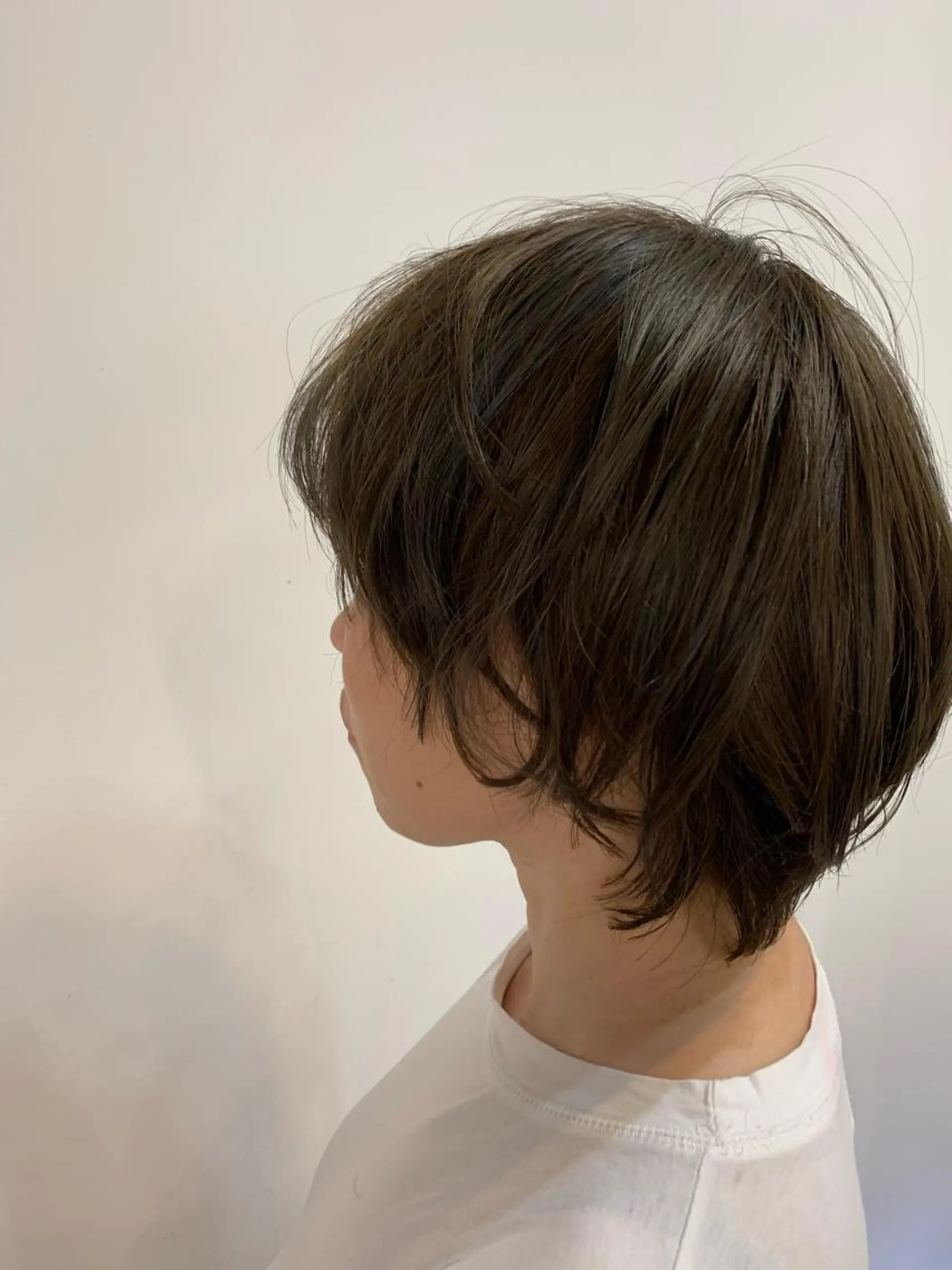 ショート アッシュ ハイライト ショートヘア ウルフカット 髪質改善🌈 tomomiのヘアスタイル