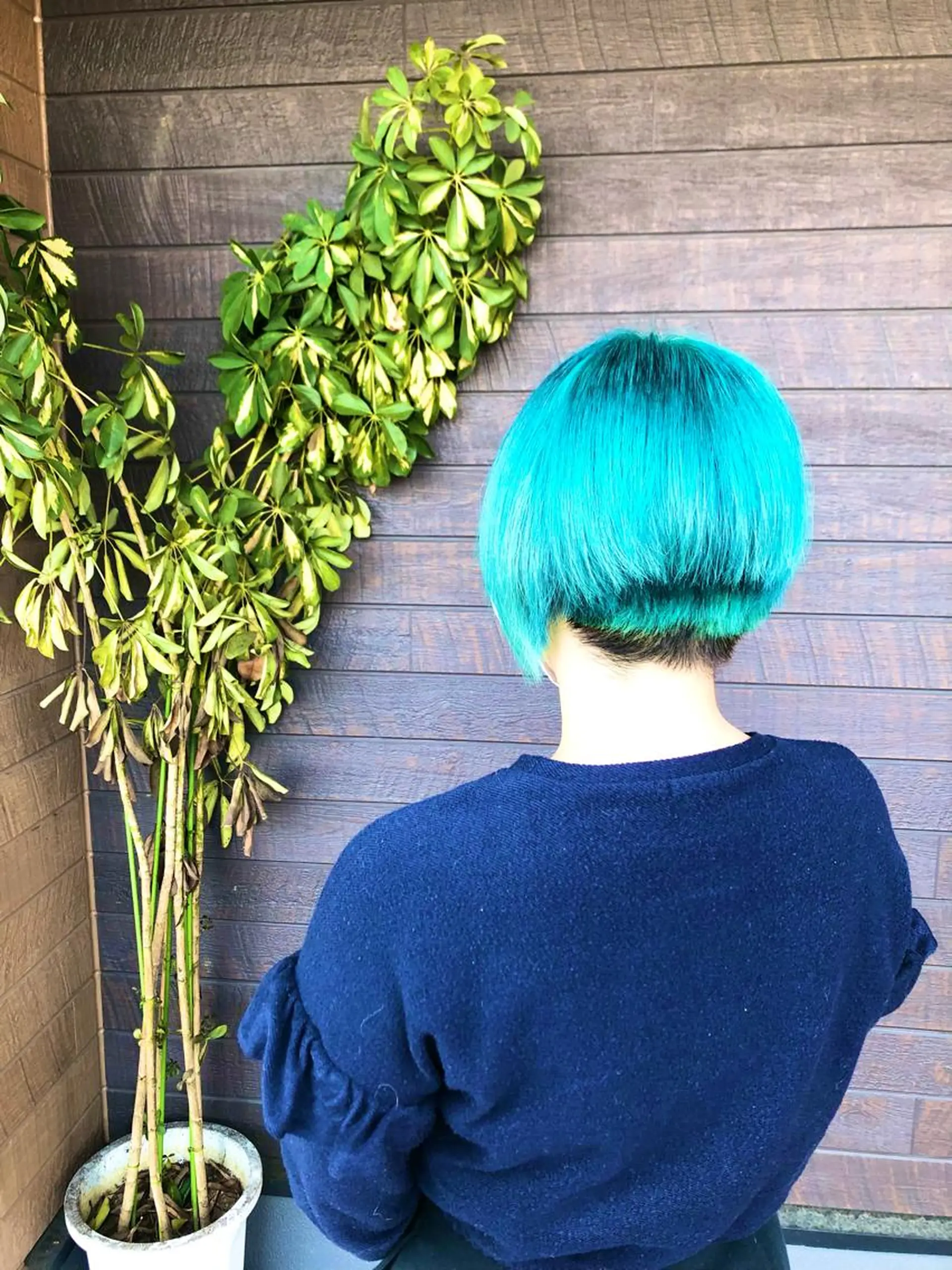 ショート 太白区白髪ぼかし/ ボブカット/千葉達人のヘアスタイル